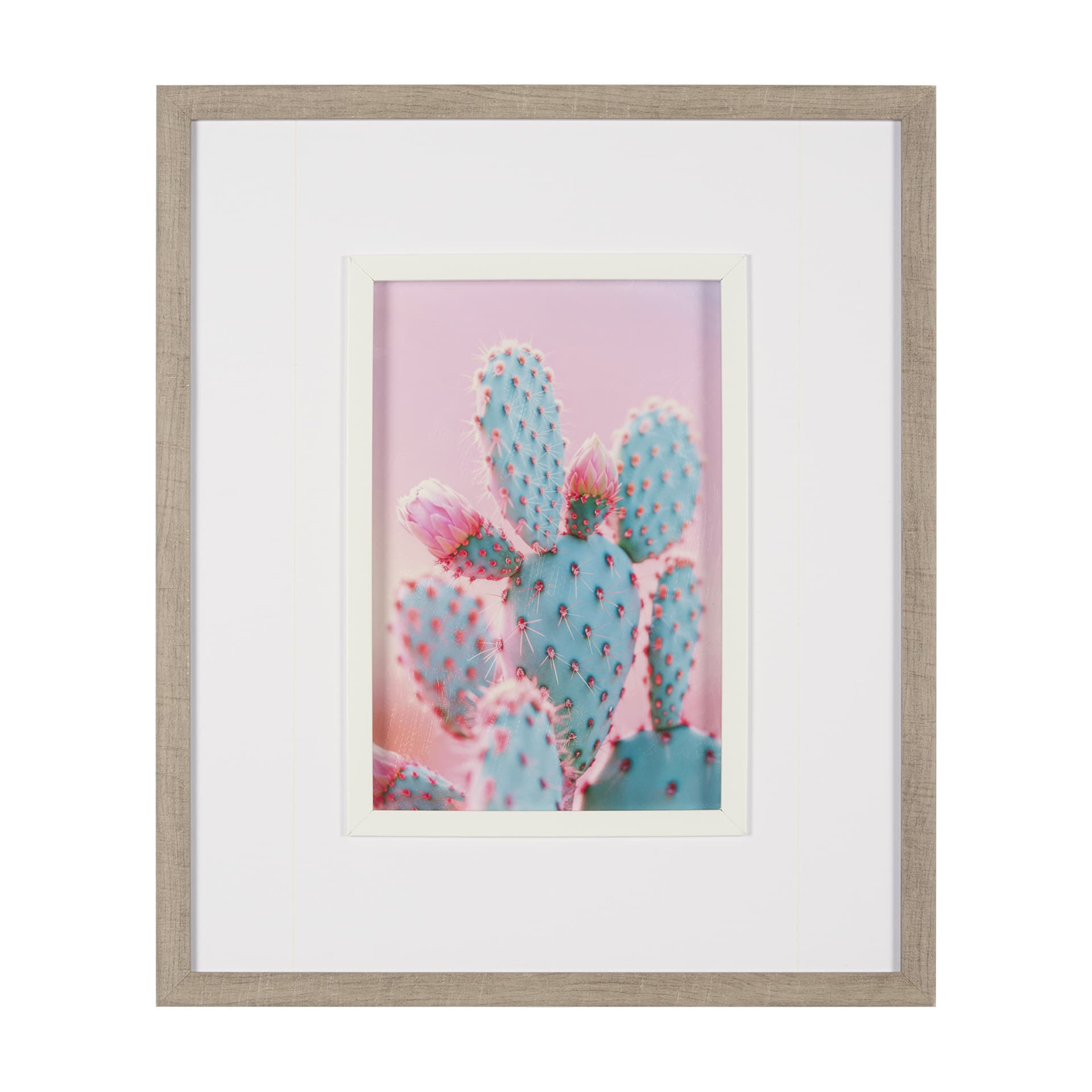 Blush Botanicals - Prickles by Philippe Hugonnard a Hand Embellished Framed Photo Art Print Matted u — product photograph