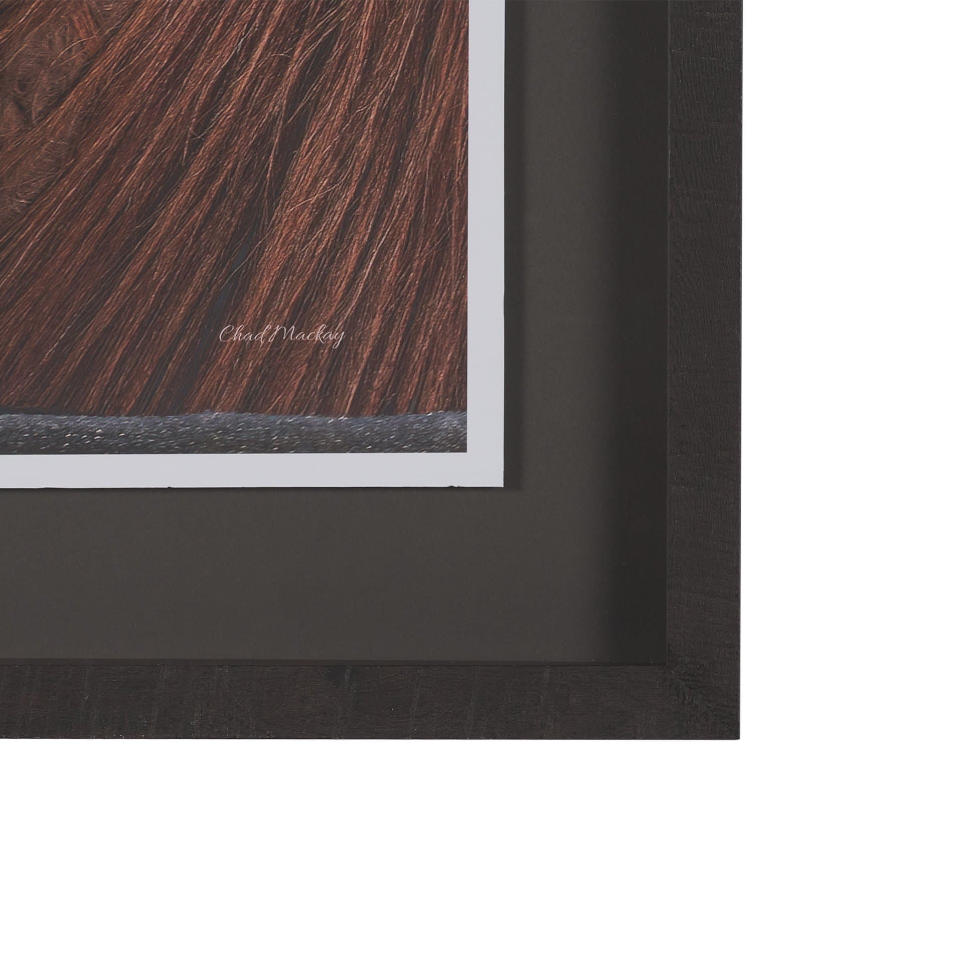 Hay over Here. by Chad Mackay FramedPhoto Print Matted under Glass — product photograph