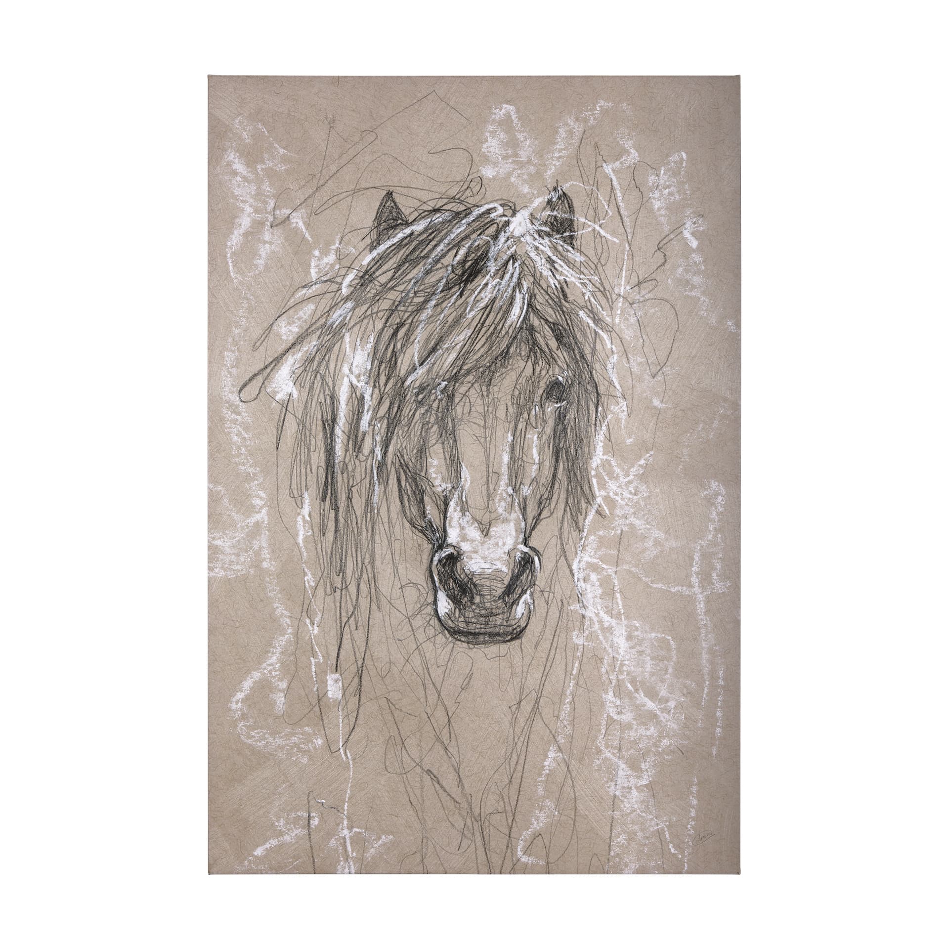 Sketch of animal VI (Pony) by Mercana Studio a Hand Embellished Textured Canvas — product photograph