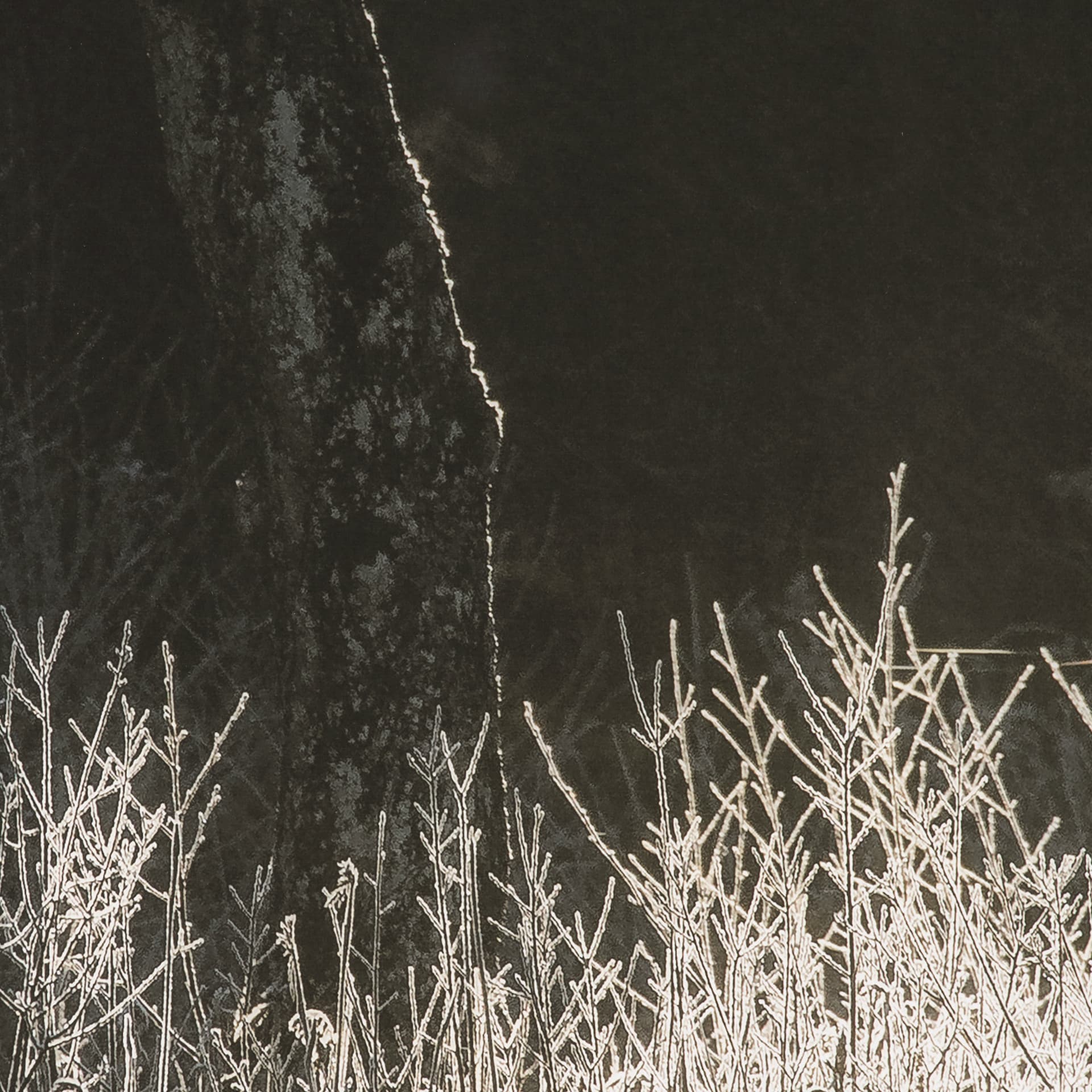 Tranquil Symmetry I by Mikael Svensson a Framed Photo Art Print Matted under Glass — product photograph