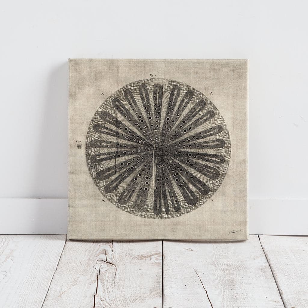 Cross Cut III (MC) by Mercana Studio a Hand Embellished Textured Canvas — product photograph