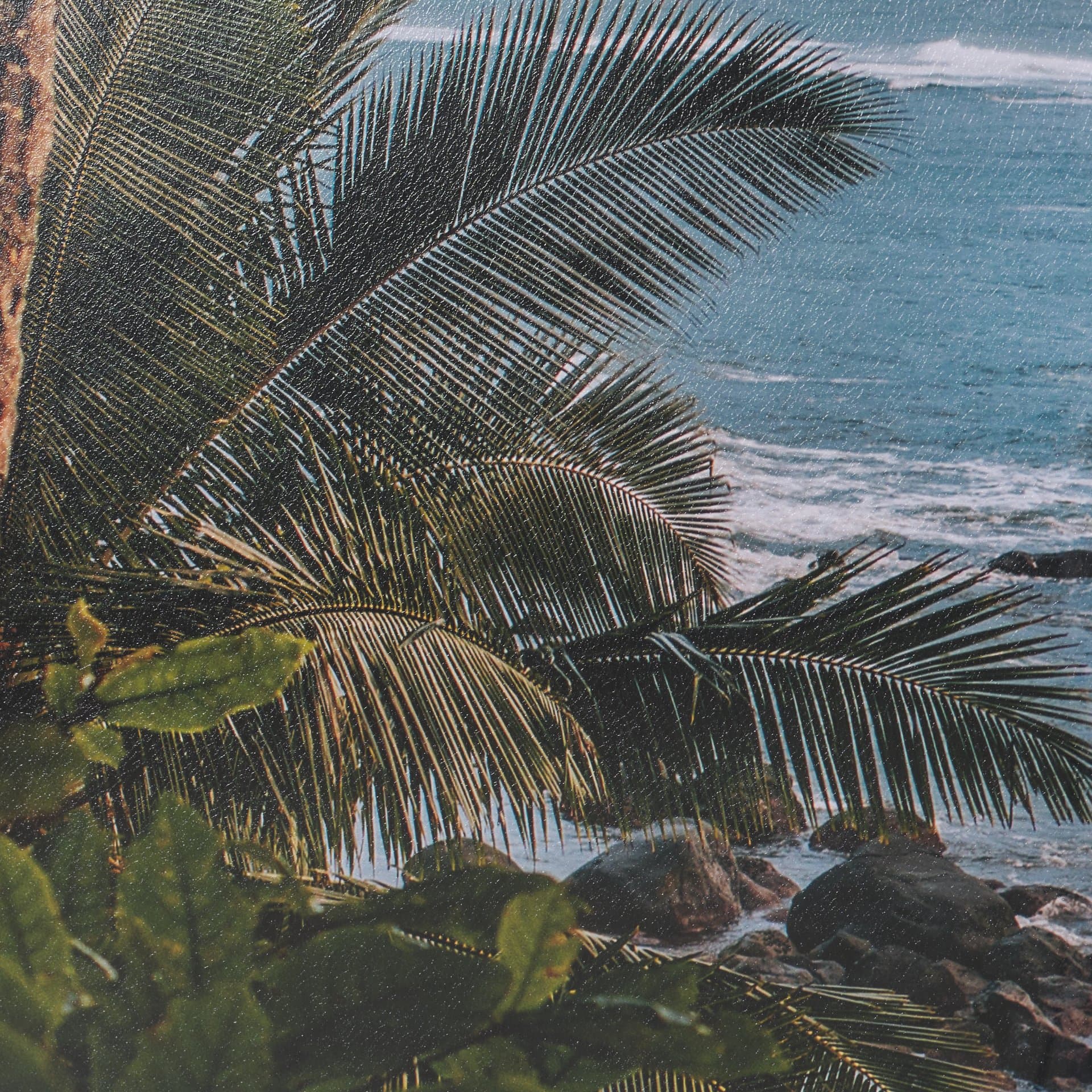Kauai Jungle Dream by Stefan and Audrey Textured Framed Photo Print Matted under Glass — product photograph