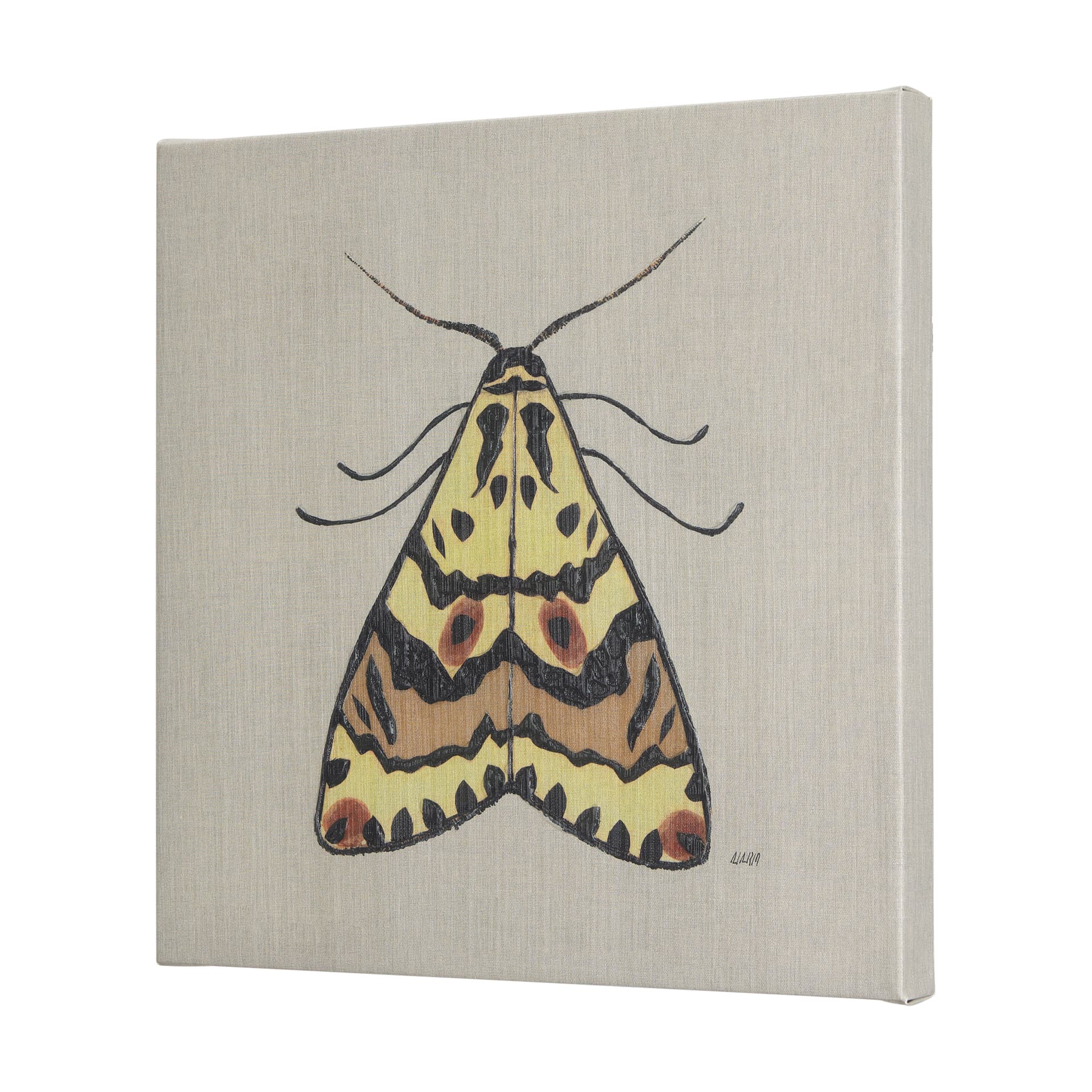 Moth III by Mercana Studio a Hand Embellished Textured Canvas — product photograph