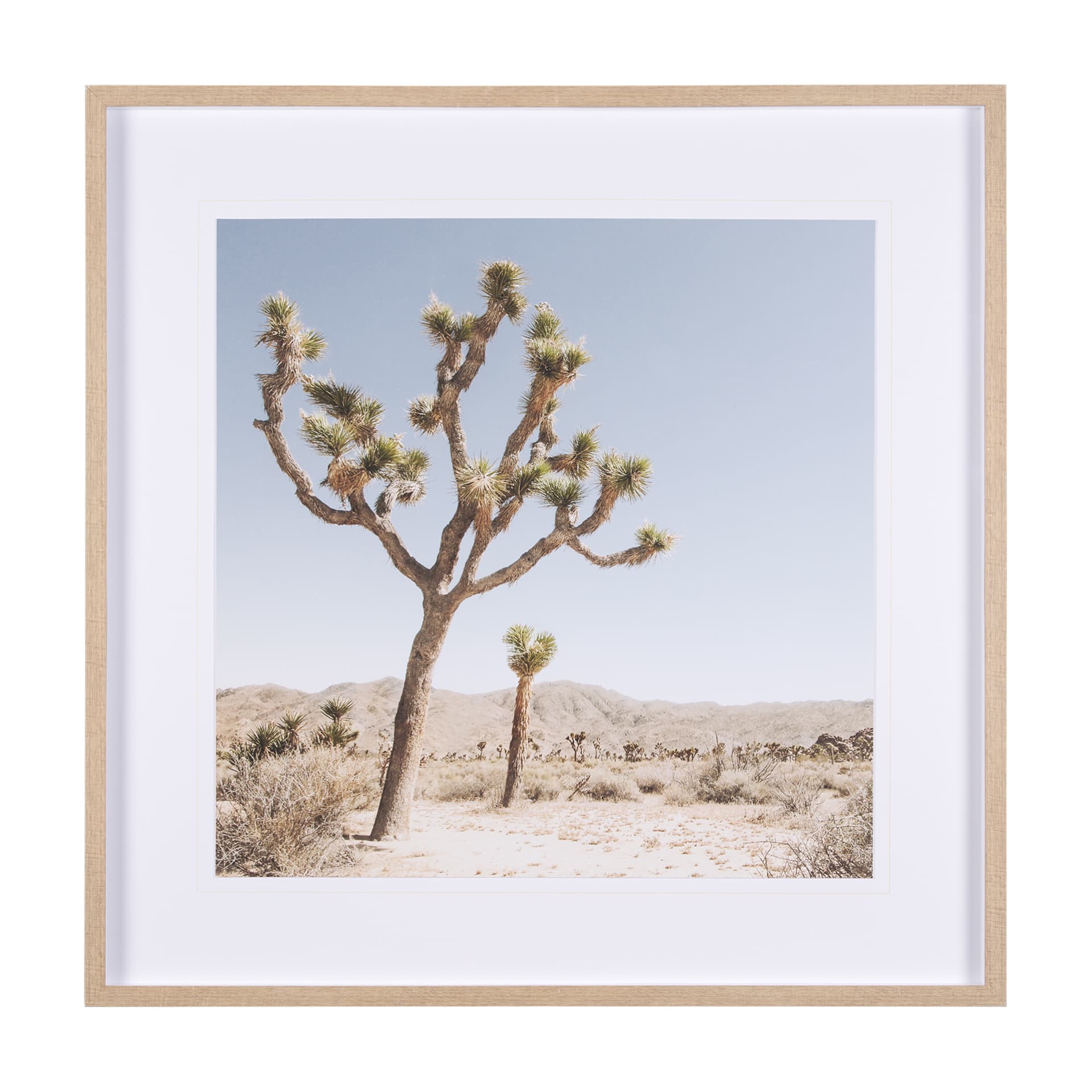 Joshua Tree 1 by THE Studio a Framed Photo Art Print Matted under Glass — product photograph