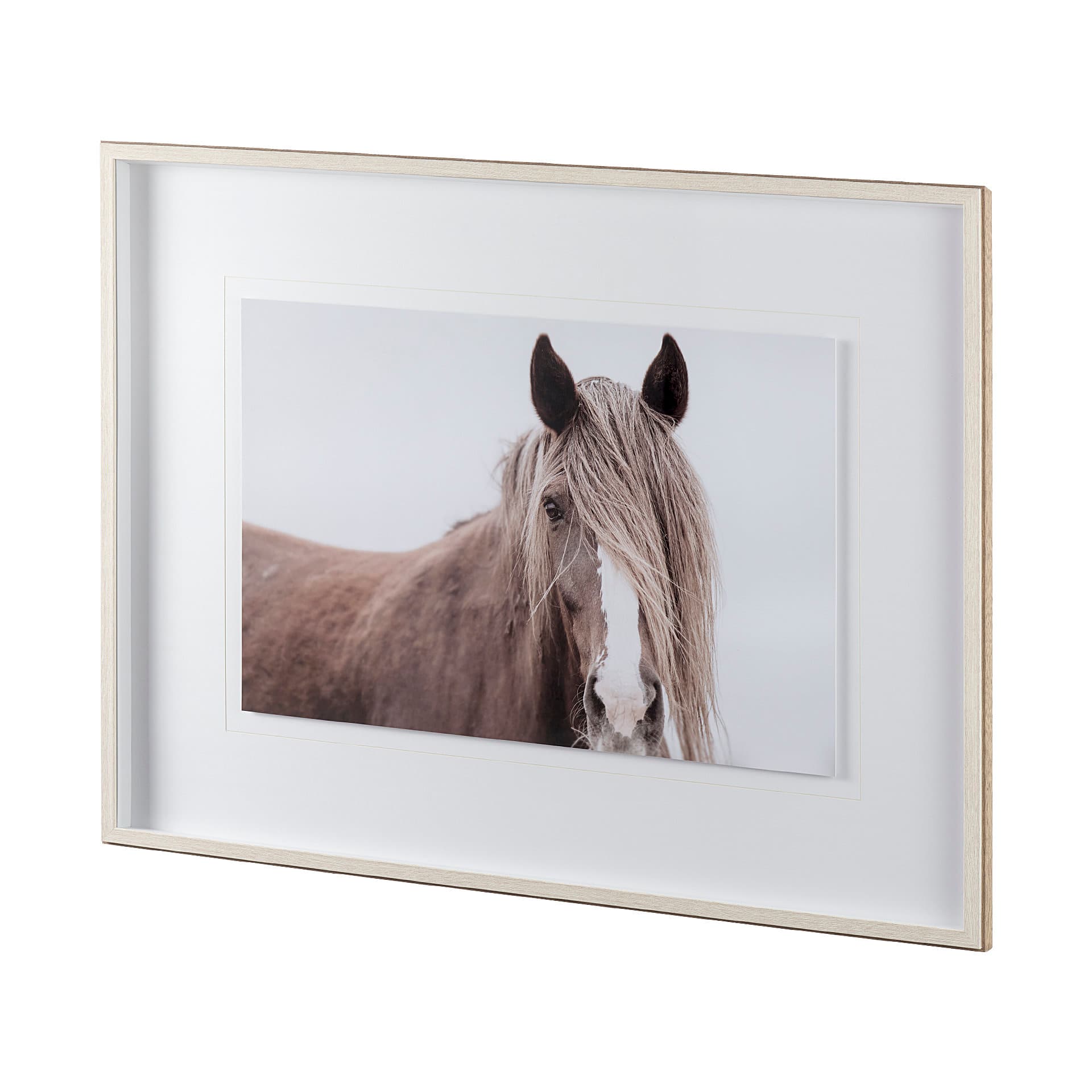 Wild Mane by Mercana Studio a Framed Photo Art Print Matted under Glass — product photograph