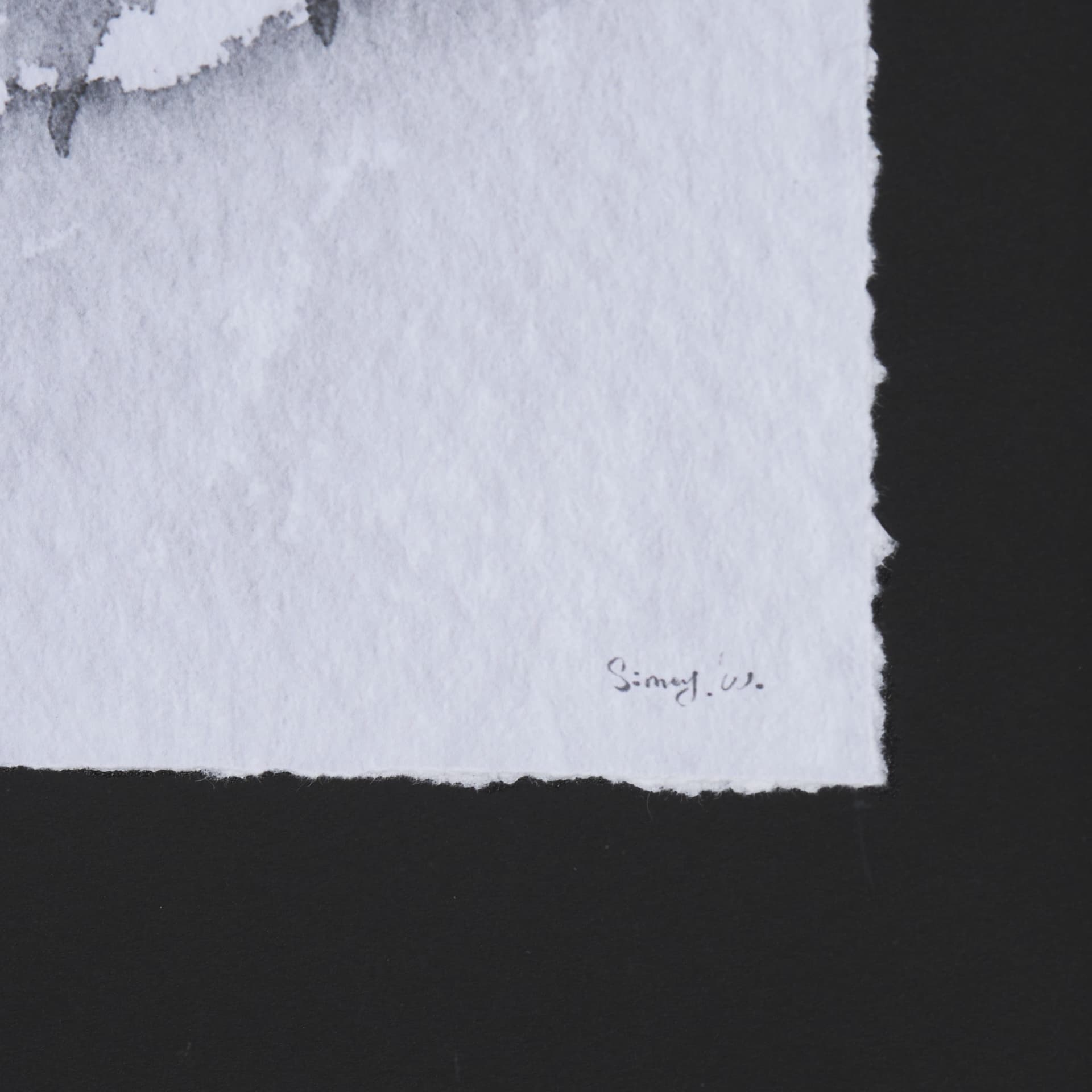Ink Drawing I by Mercana Studio a Framed Art Print Matted under Glass — product photograph