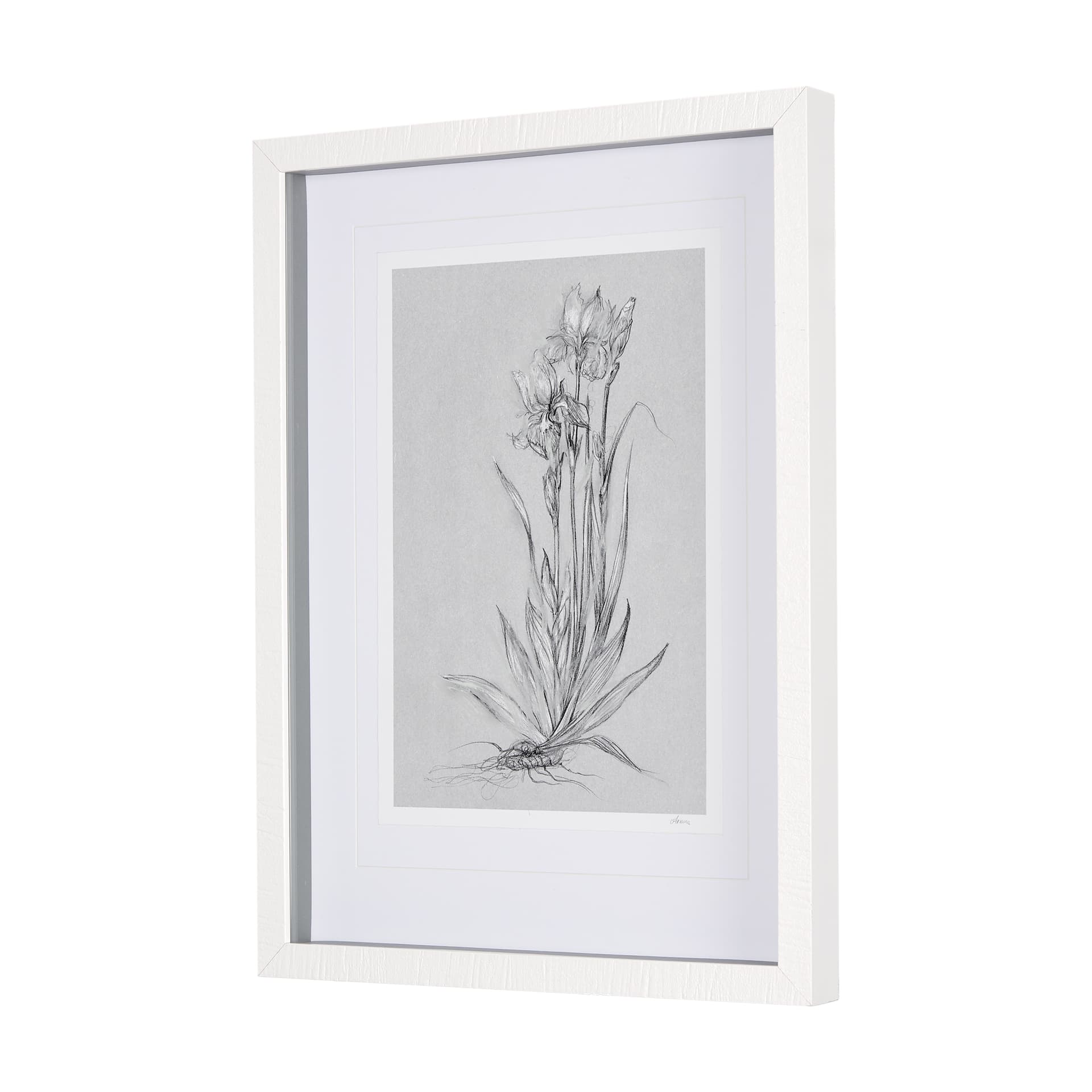 Botanical sketches IV (Grey) by Mercana Studio Hand Embellished Framed Art Print Matted under Glass — product photograph