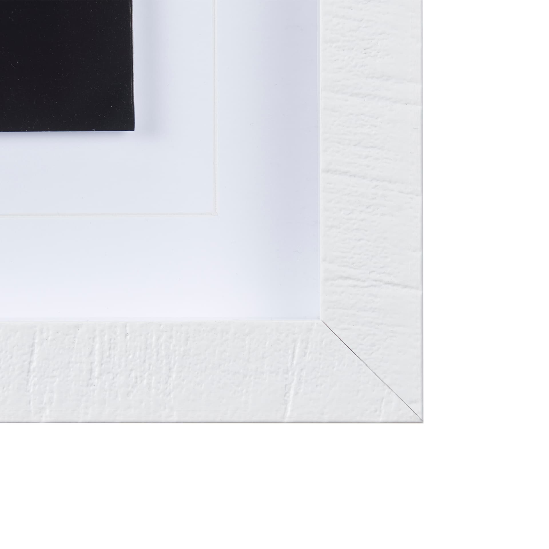 Honey Bee by Chad Mackay a Framed Photo Art Print Matted under Glass — product photograph