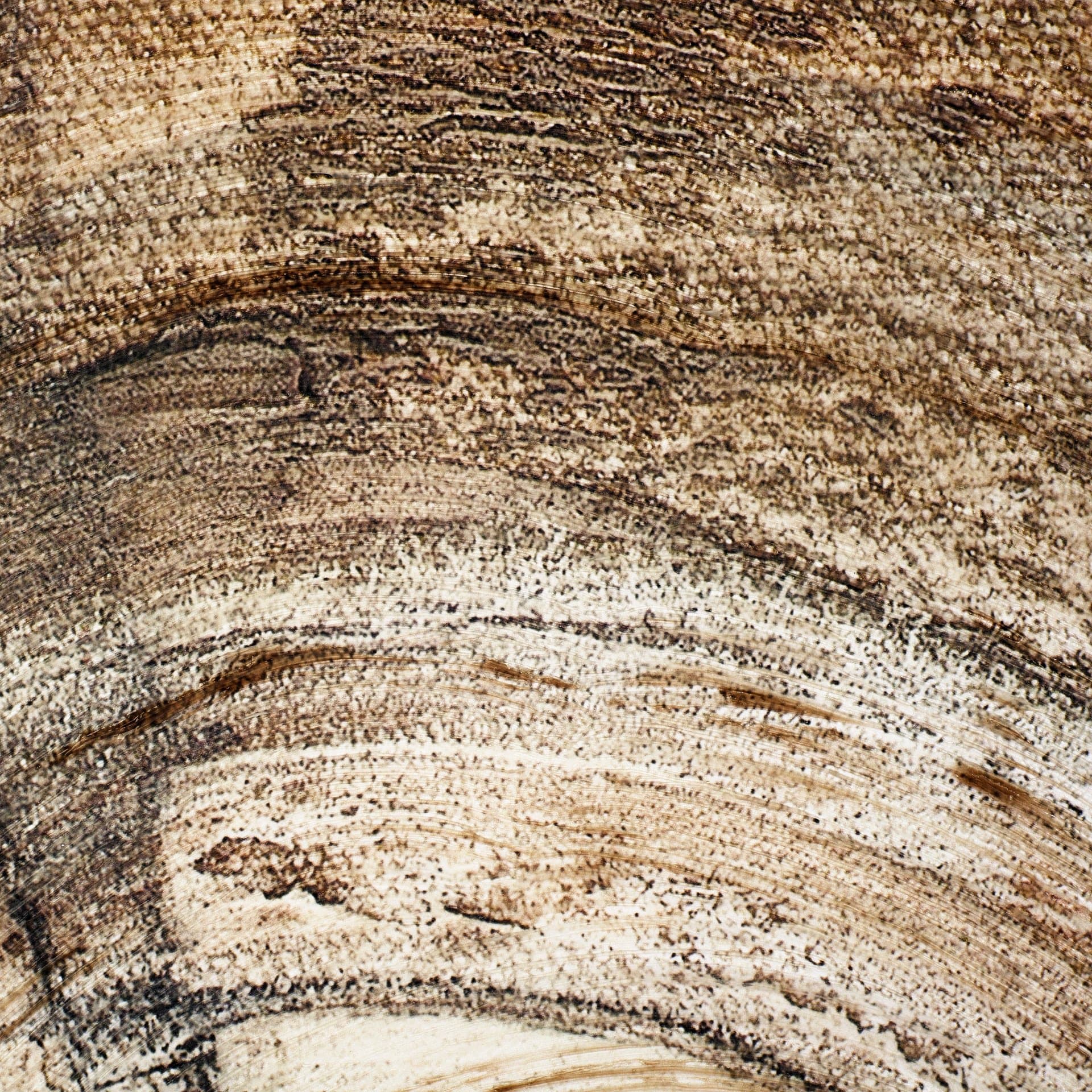 Counting the Years II by Albena Hristova a Hand Embellished Textured Canvas — product photograph