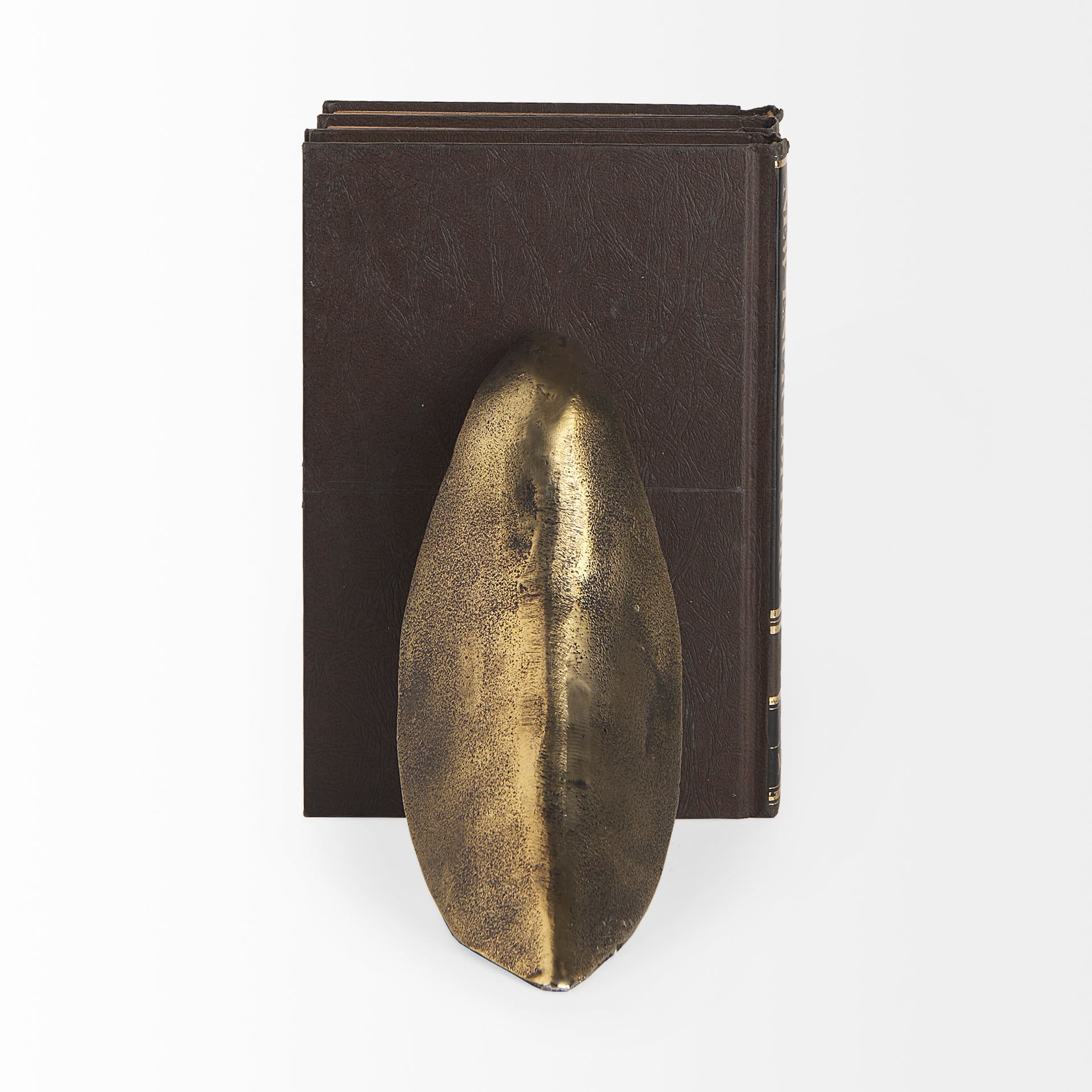 Dover (Set of 2) 15L x 4W Gold Aluminum Dove Bookends — product photograph