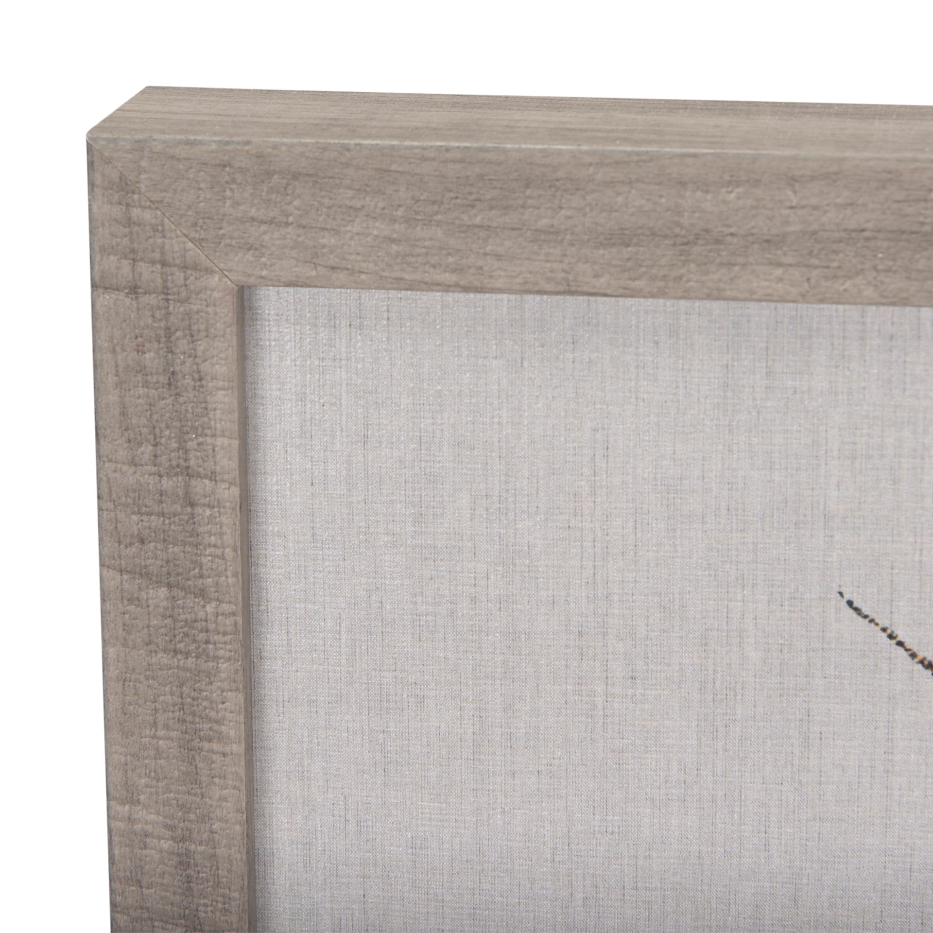 Moth III by Mercana Studio a Hand Embellished Textured Framed Art Print — product photograph