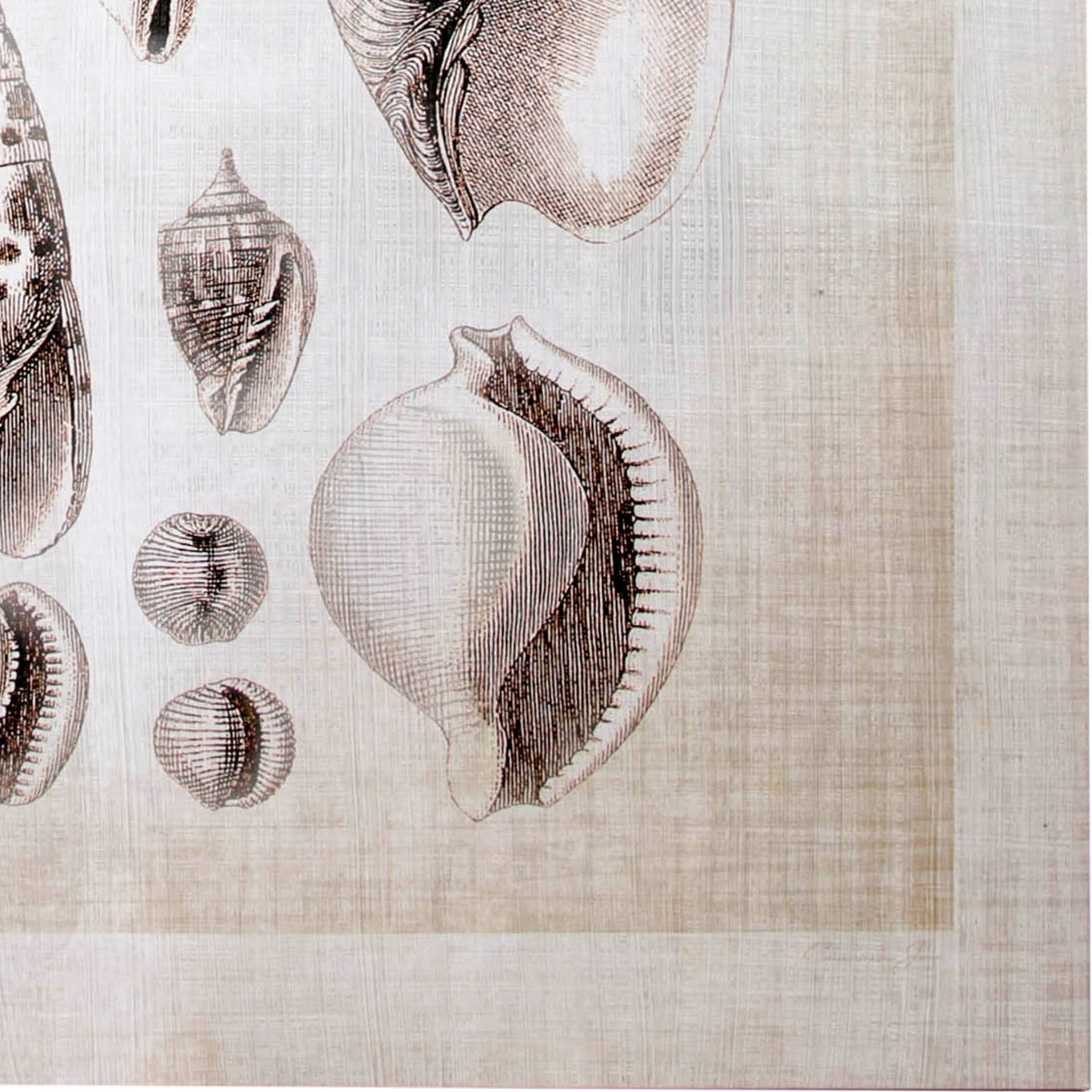 Ocean Shell Collection I by Christopher James a Hand Embellished Textured Canvas — product photograph