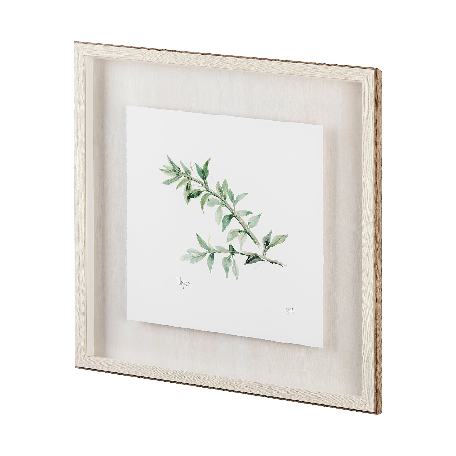 Thyme v2 by Chris Paschke a Framed Art Print Matted under Glass — product photograph
