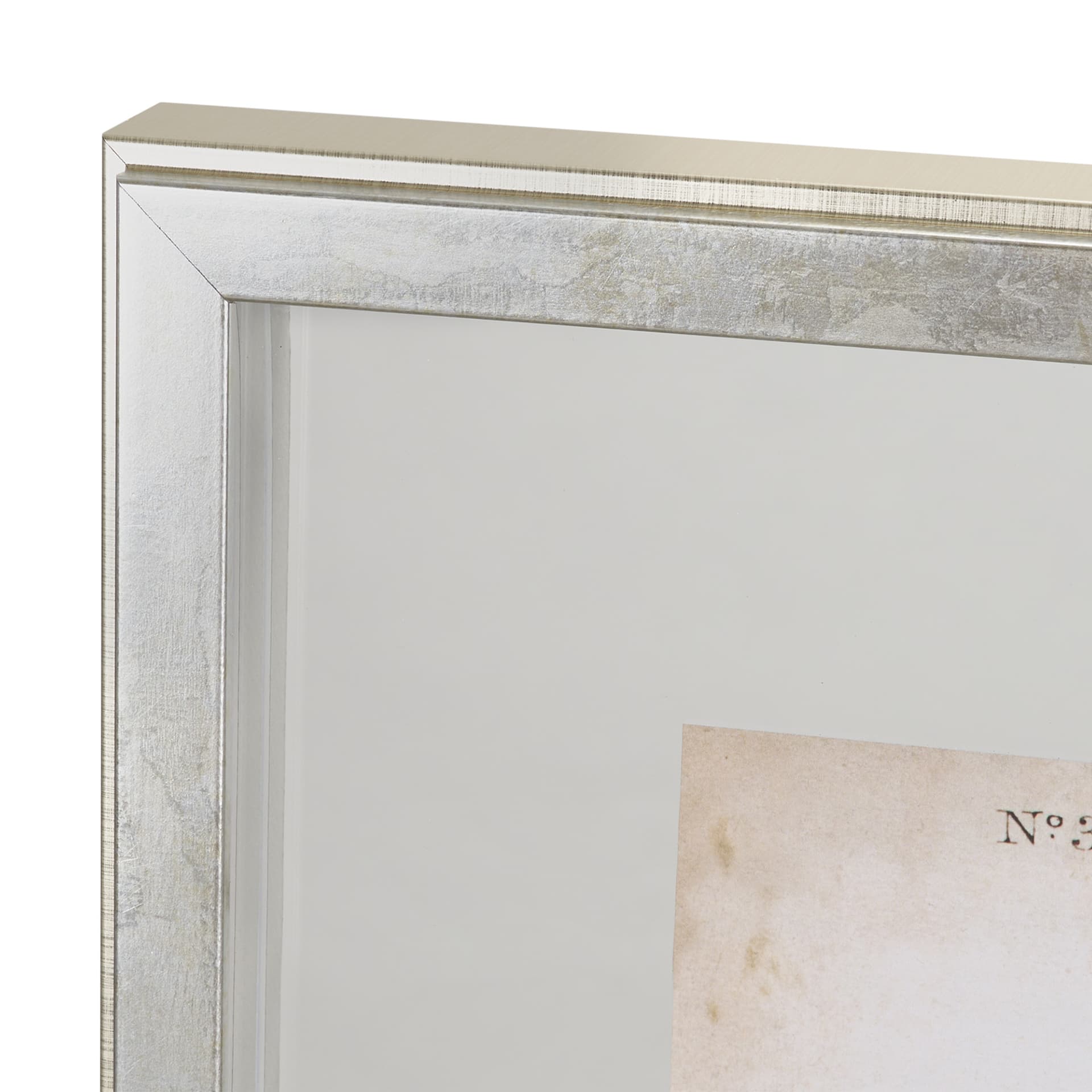 Custom Indigo Bunting (MC) by Audubon a Framed Art Print Matted under Glass — product photograph