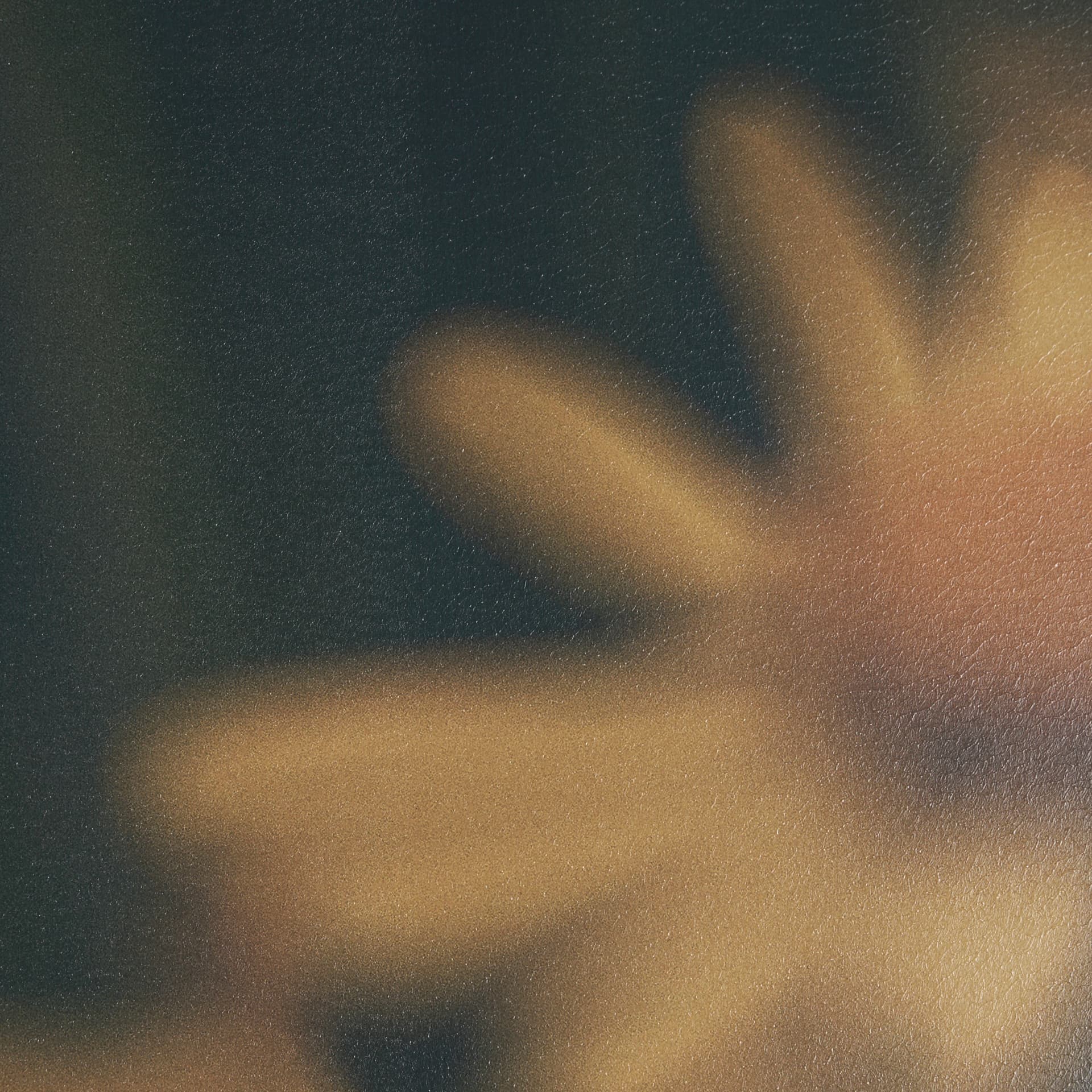 Wild Blooms I by Nathan Larson a Hand Embellished Framed Photo Art Print Matted under Glass — product photograph