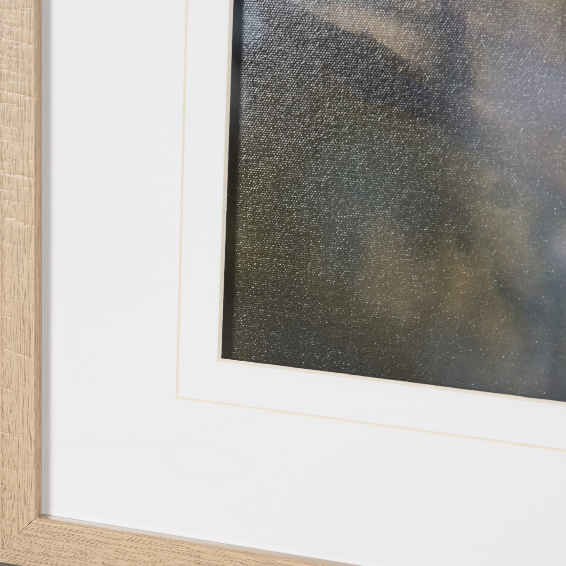 Wilde Prunus by Zaira Zarotti Textured Framed Photo Print Matted under Glass — product photograph