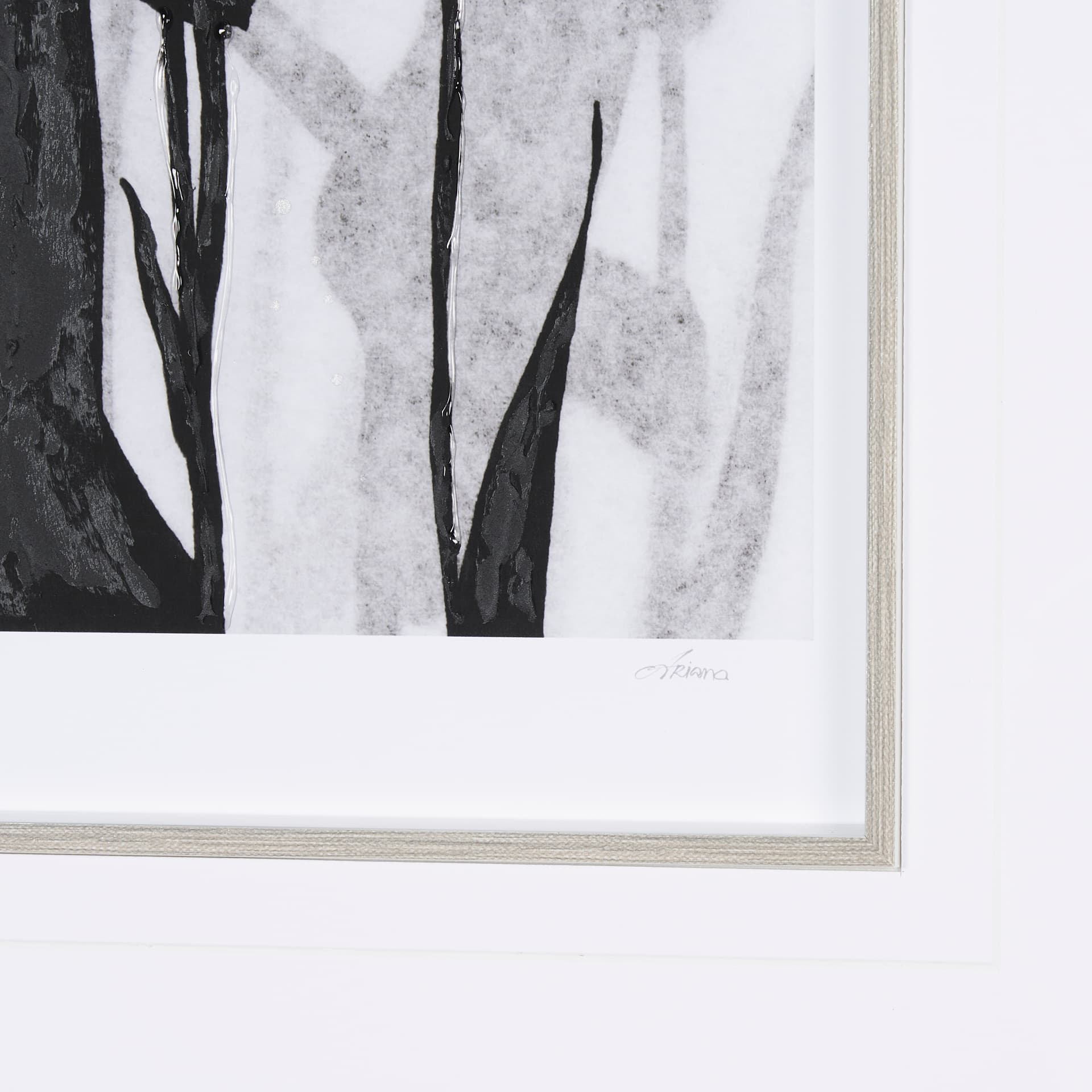 Floral Silhouette II by Mercana Studio Hand Embellished Textured Framed Art Print Matted under Glass — product photograph
