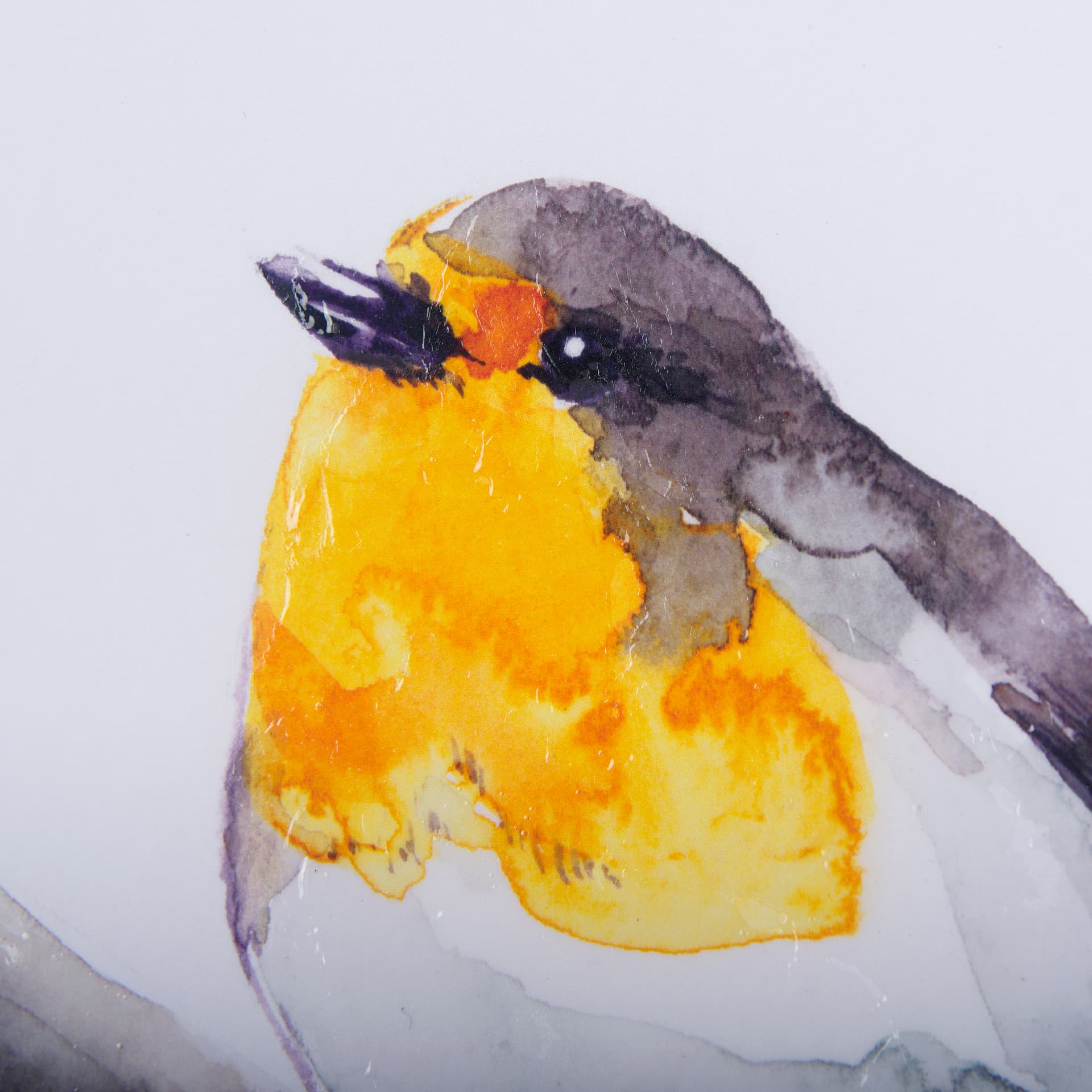 Robin I by Mercana Studio a Hand Embellished Textured Framed Art Print Matted under Glass — product photograph