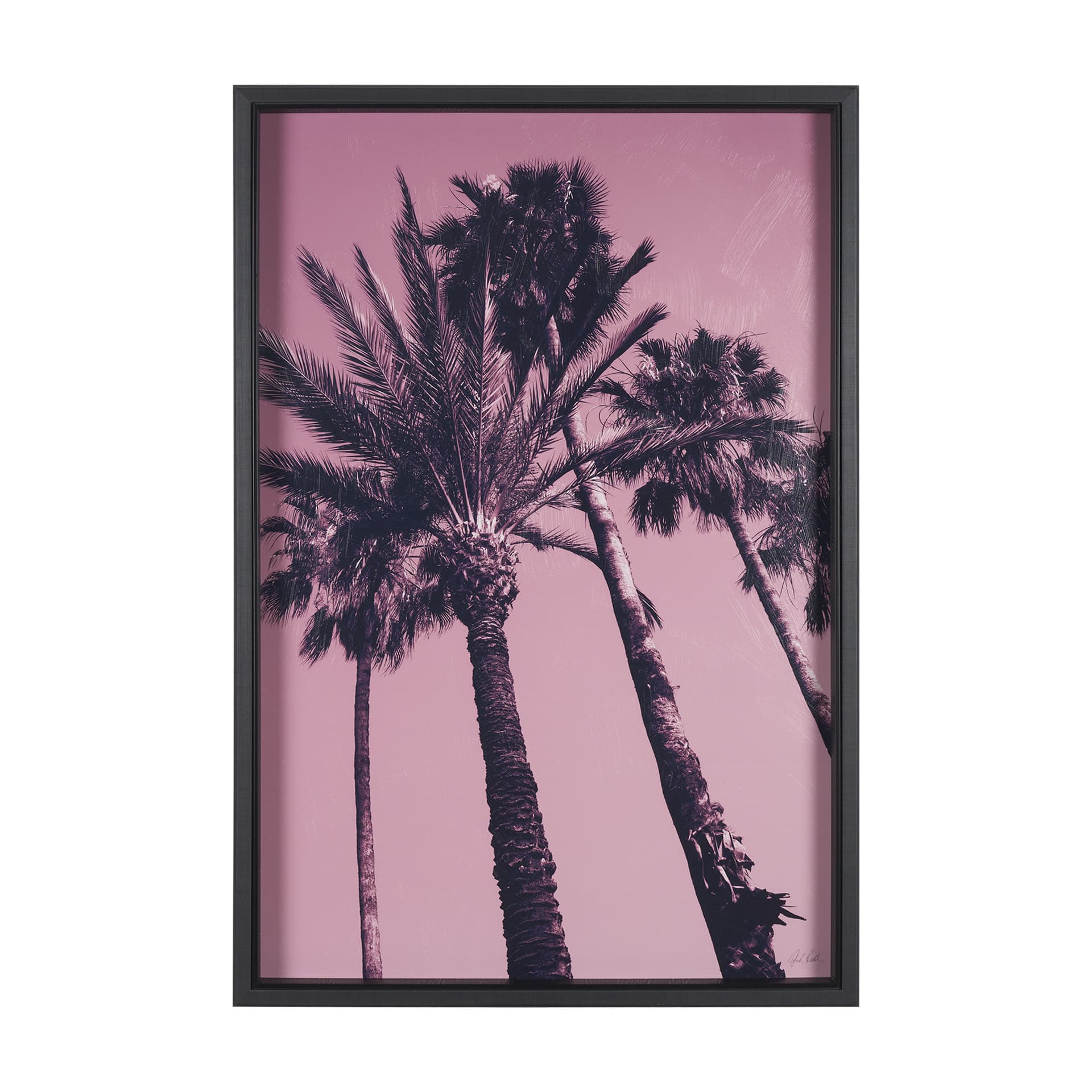 Pink Palms II by Deborah Revell a Hand Embellished Framed Photo Art Print — product photograph