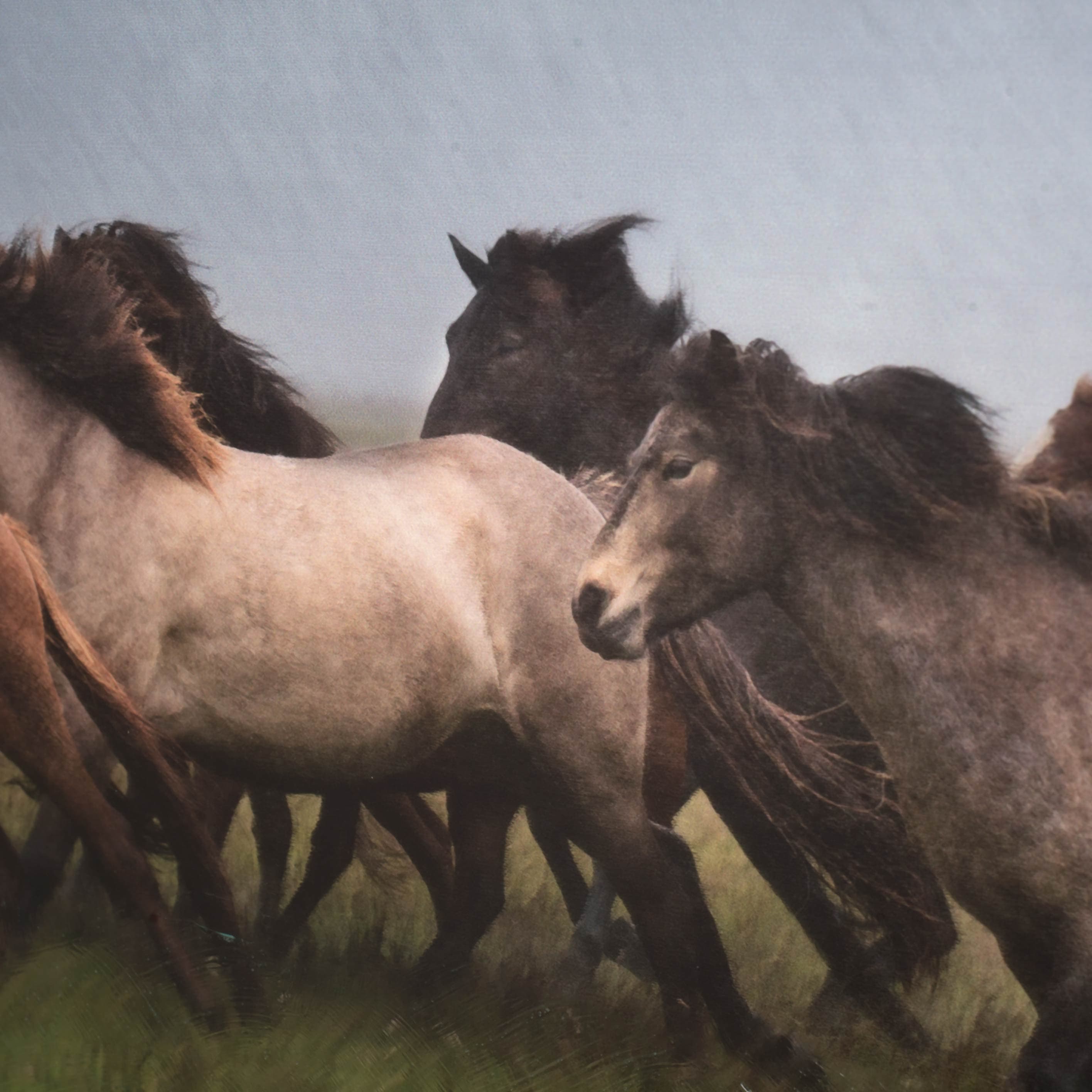 Custom Icelandic Horses XIII (MC) by PH Burchett Hand Embellished Framed Photo Art Print Matted unde — product photograph