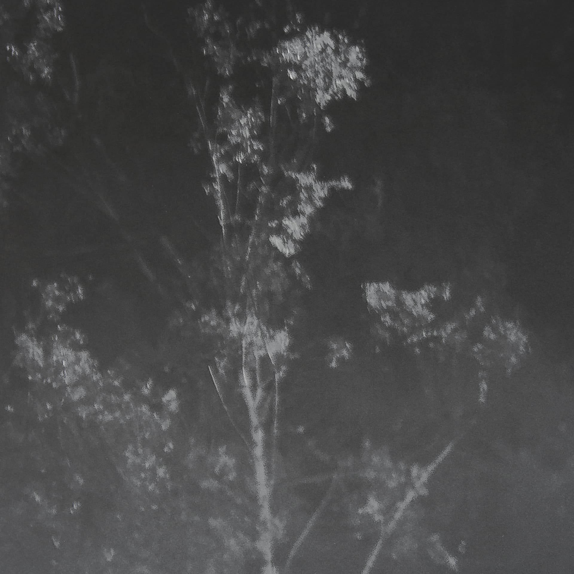 Quiet Morning by Matt Roseveare a Framed Photo Art Print Matted under Glass — product photograph