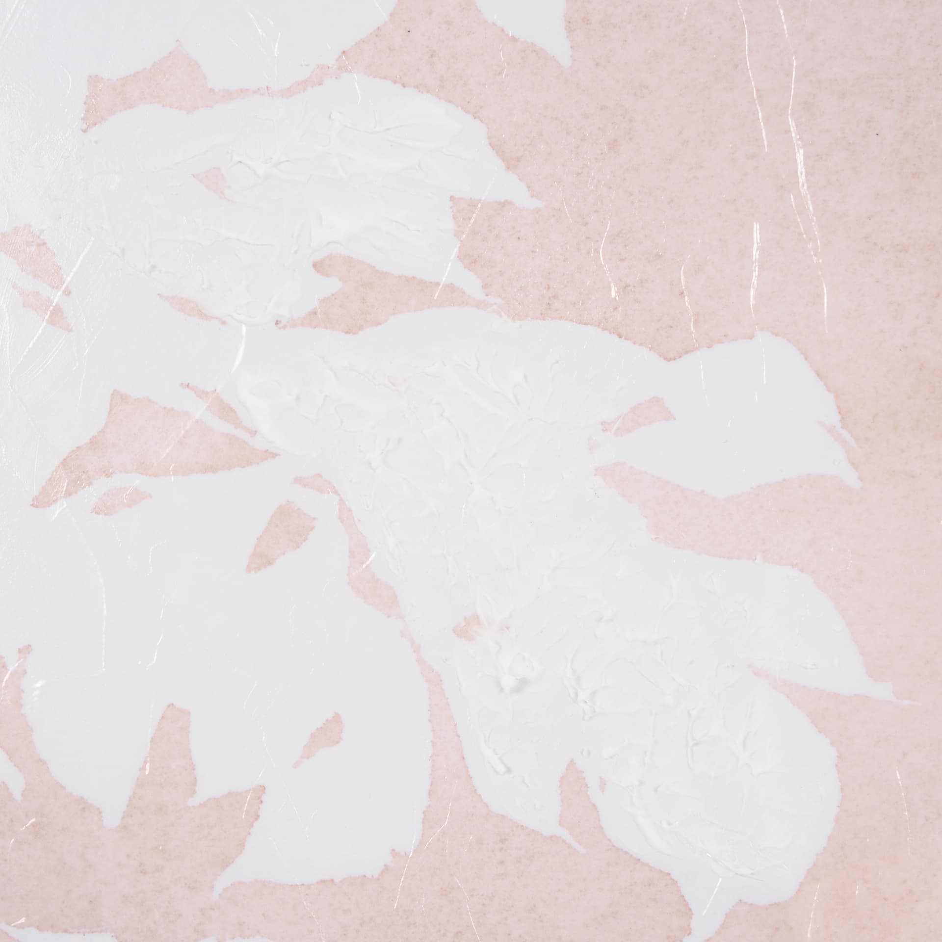 Flower Silhouette-Peony by Mercana Studio Hand Embellished Framed Art Print Matted under Glass — product photograph