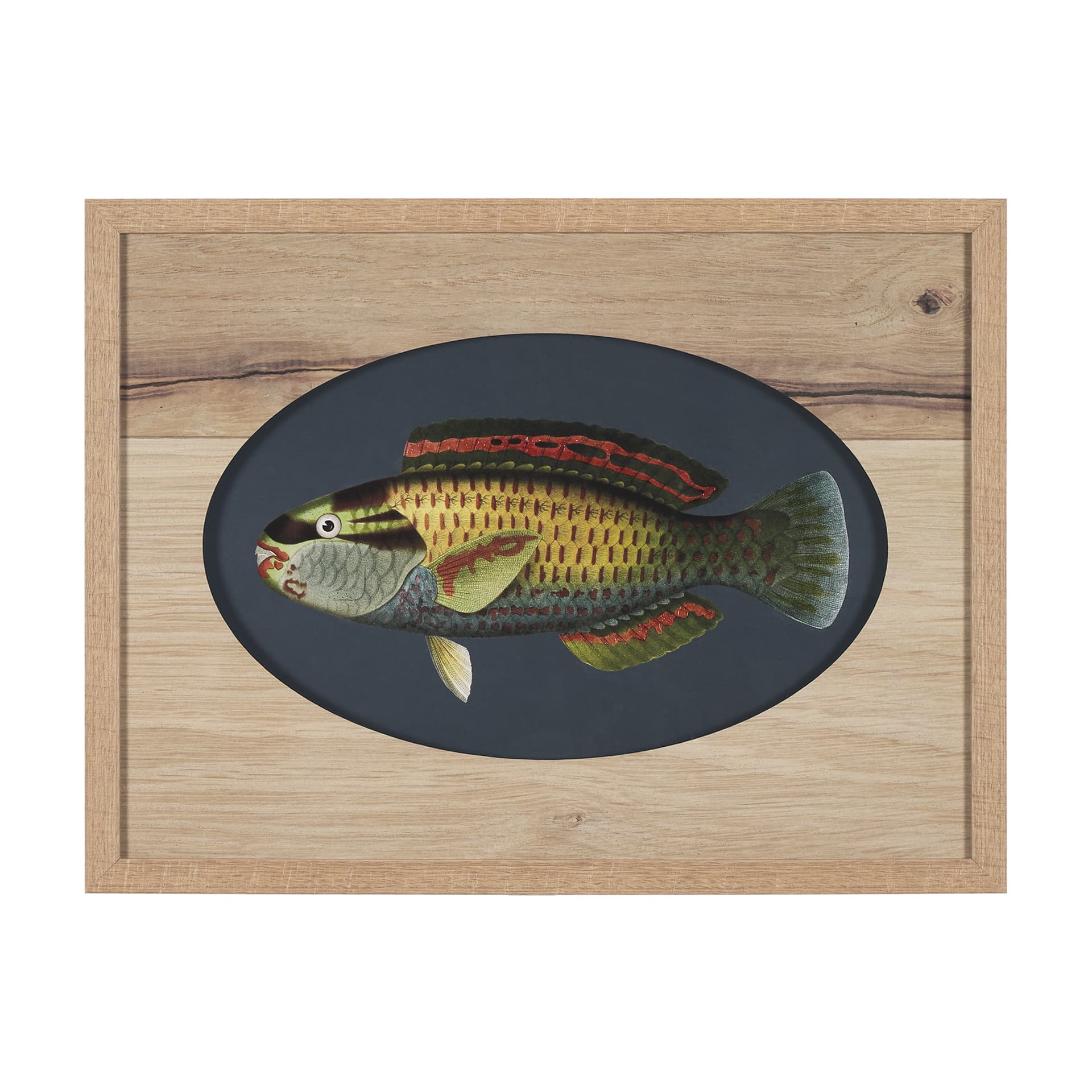 Scarus Ghobban by Mercana Studio a Hand Embellished Textured Framed Art Print Matted under Glass — product photograph