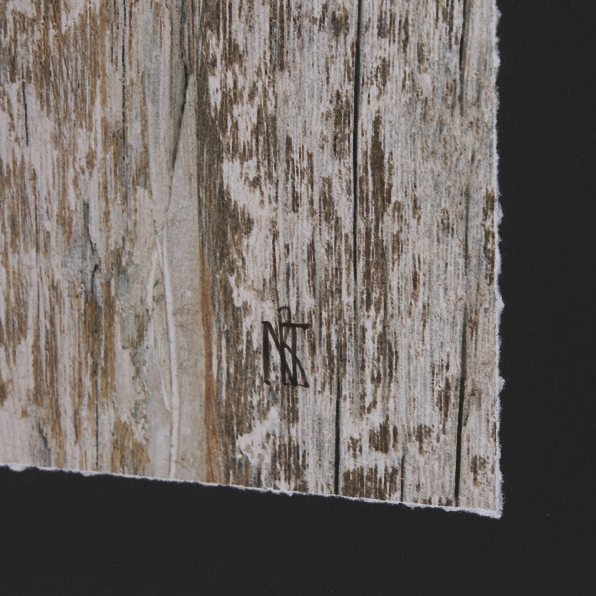 Wood Grain Fish I by Mercana Studio a Hand Embellished Textured Framed Art Print Matted under Glass — product photograph