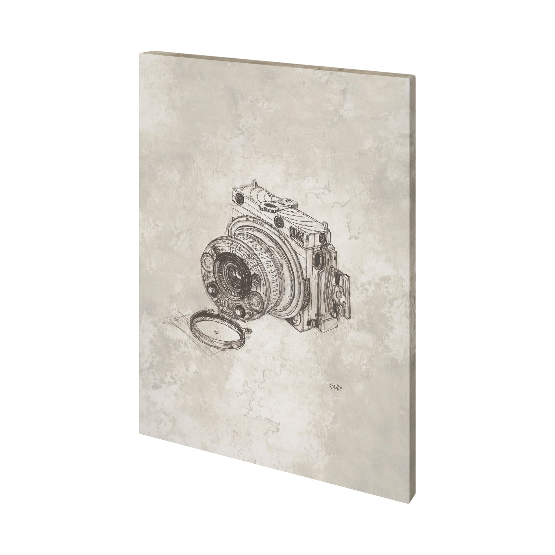 Compass Camera Bronze I by Mercana Studio a Hand Embellished Textured Canvas — product photograph