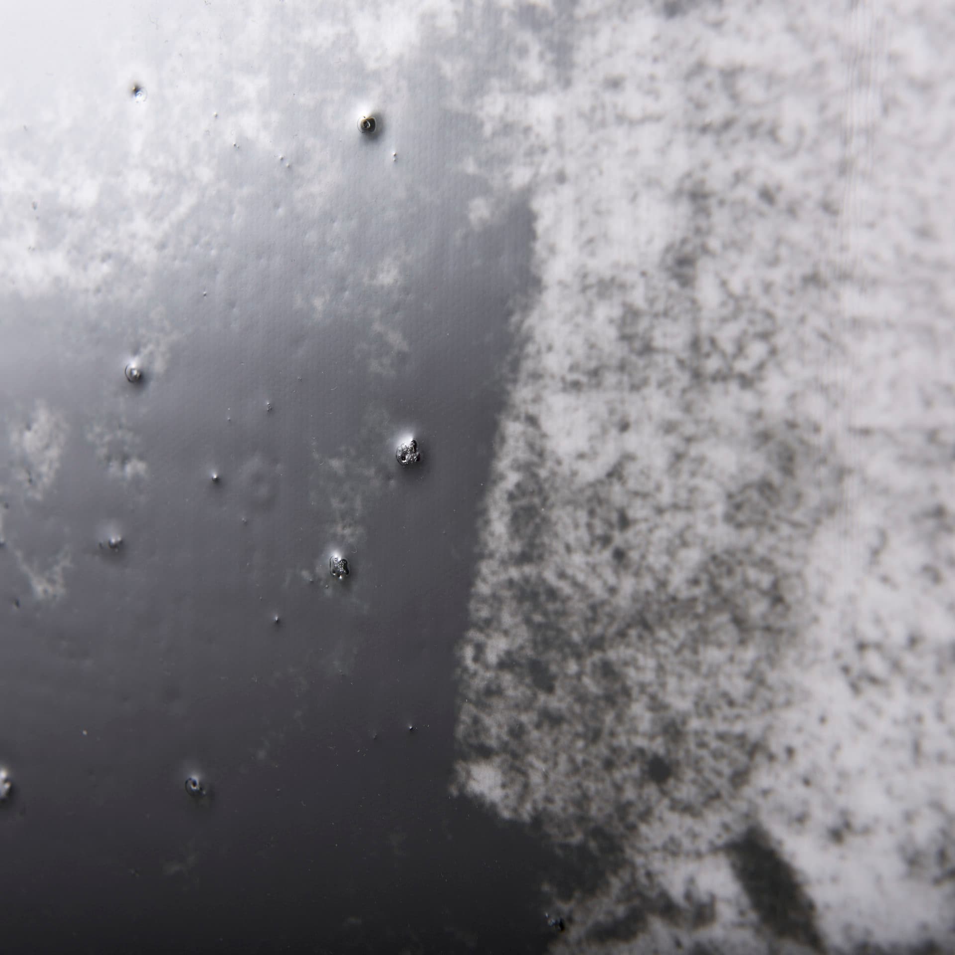 Forest BW II by Ariana a Hand Embellished Textured Canvas — product photograph