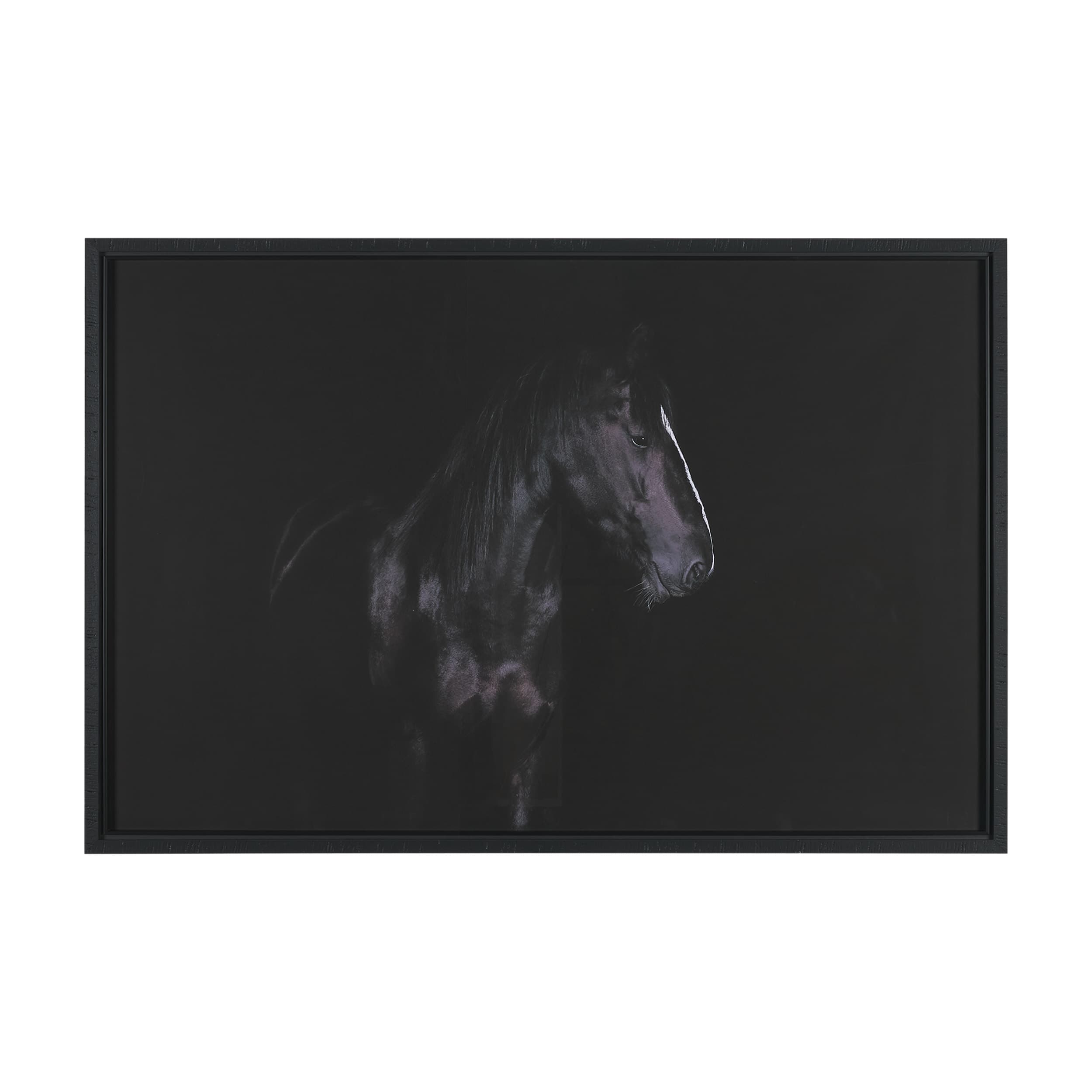 Majestic Midnight by Rehpoehler Framed Photo Print Matted under Glass — product photograph