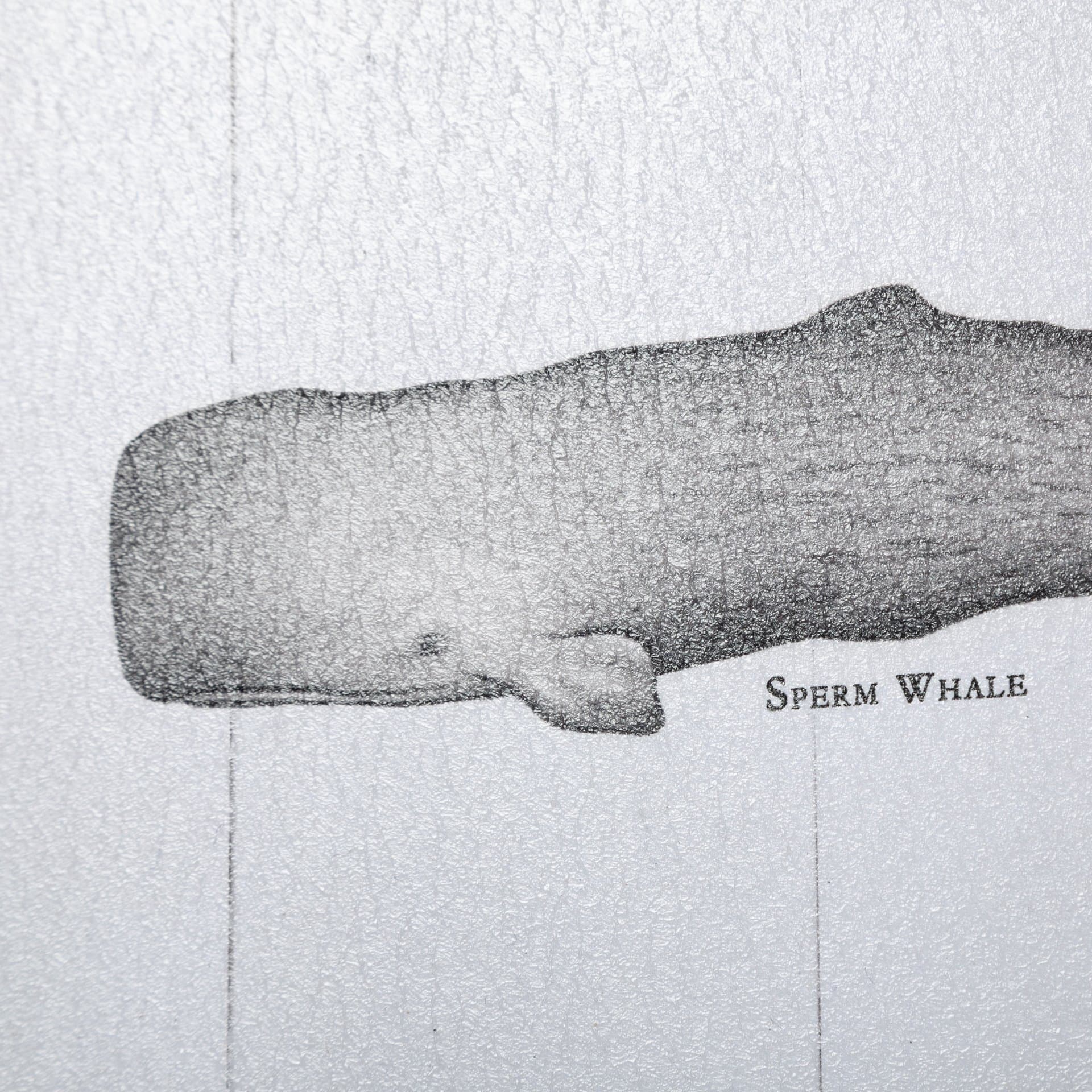 Narwhal by Mercana Studio a Hand Embellished Textured Framed Art Print — product photograph
