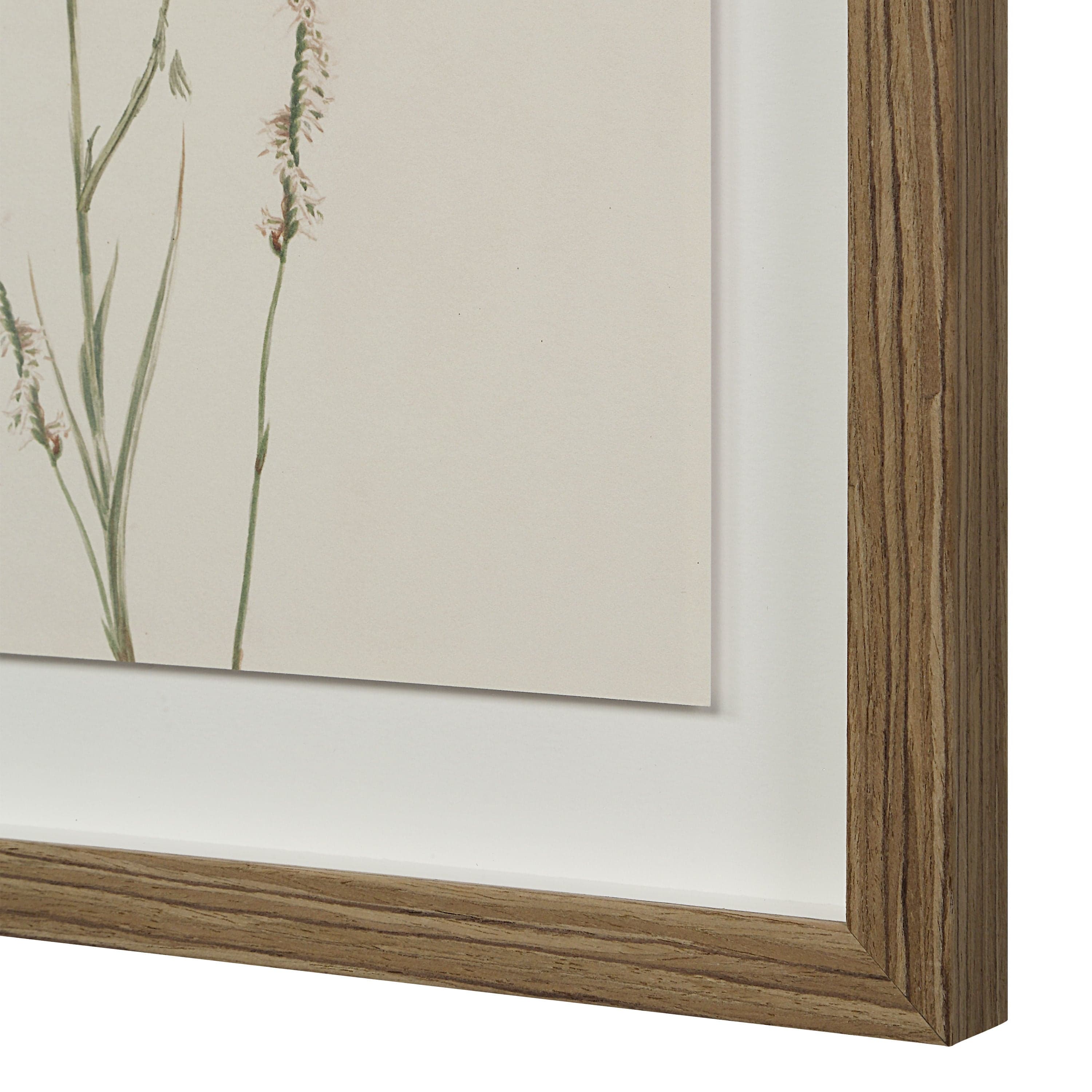 Crema — product photograph