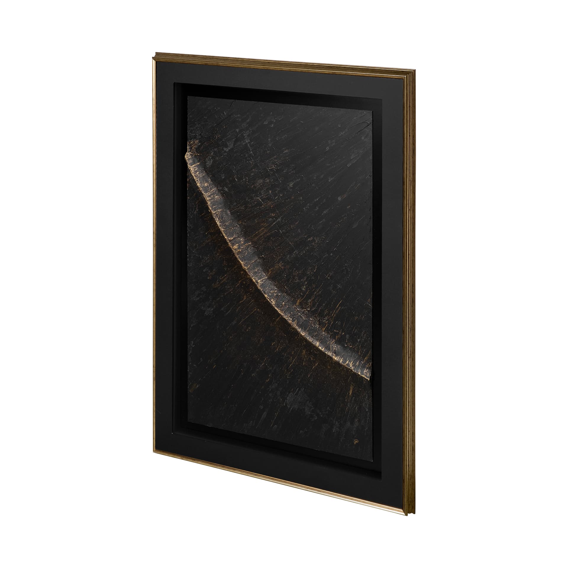 Fossil II by Studio M a handmade Original Framed Artwork under Glass — product photograph