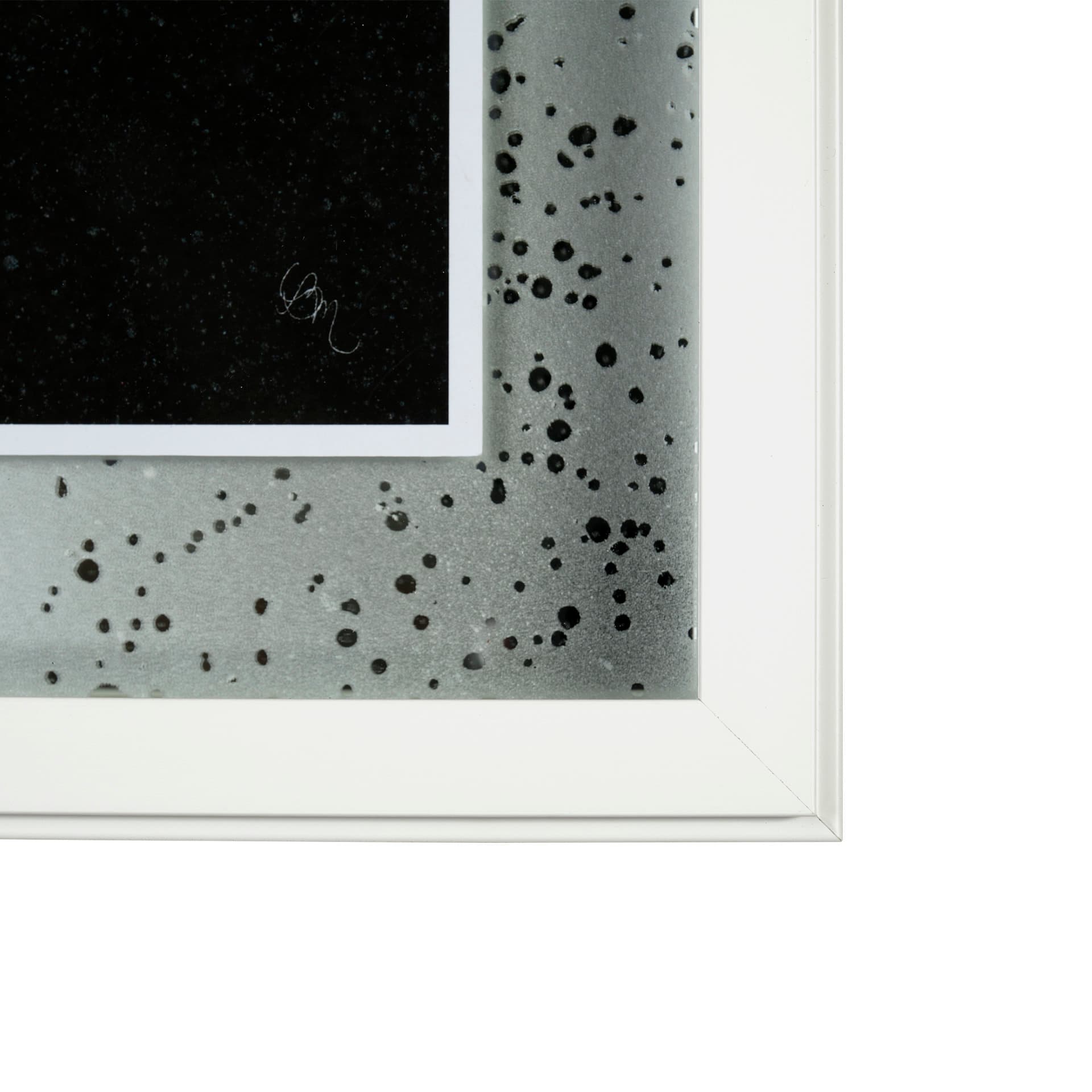 Flora V by Mercana Studio a Hand Embellished Textured Framed Art Print Matted under Glass — product photograph
