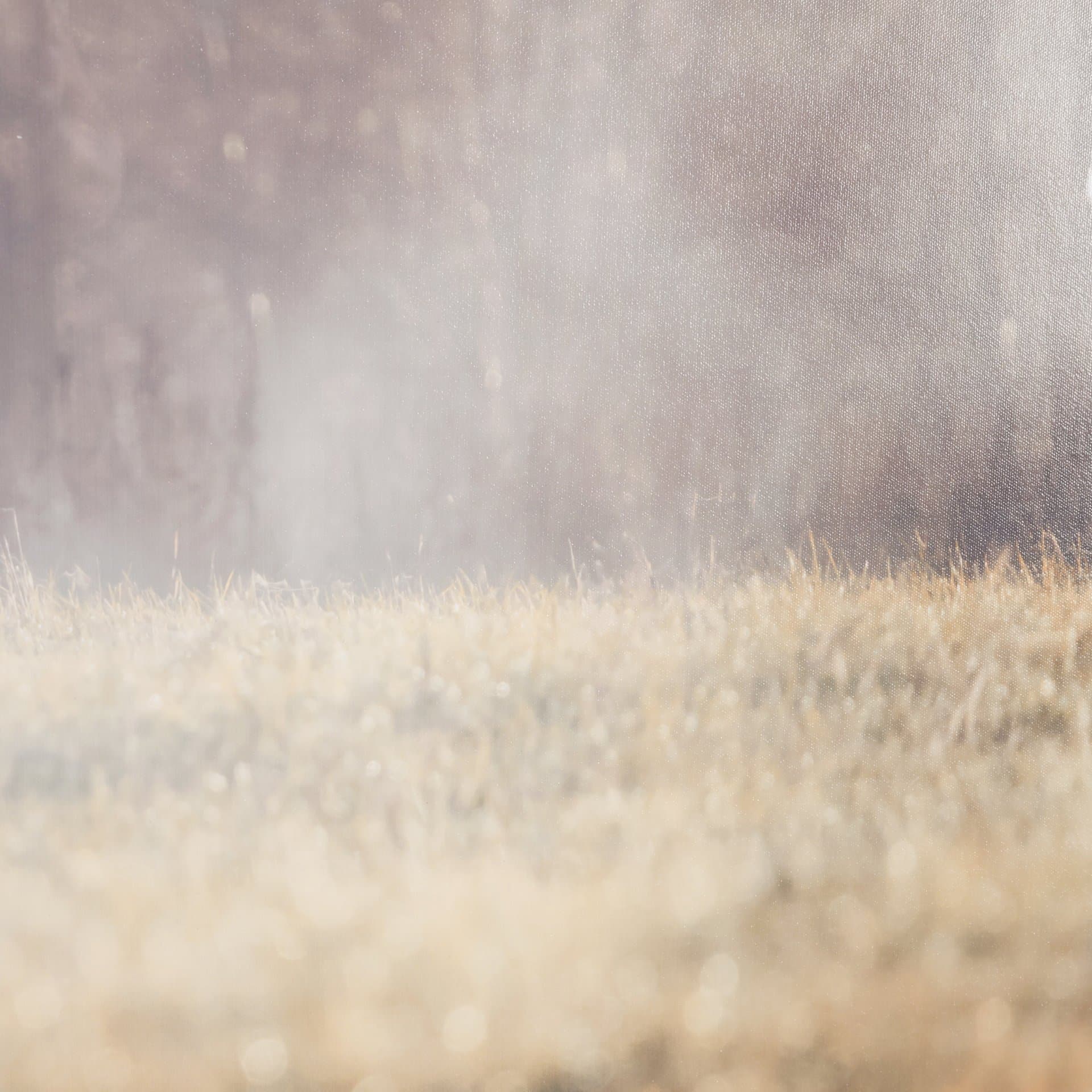 Distant Duo by Andreas Stridsberg Framed Photo Print Matted under Glass — product photograph