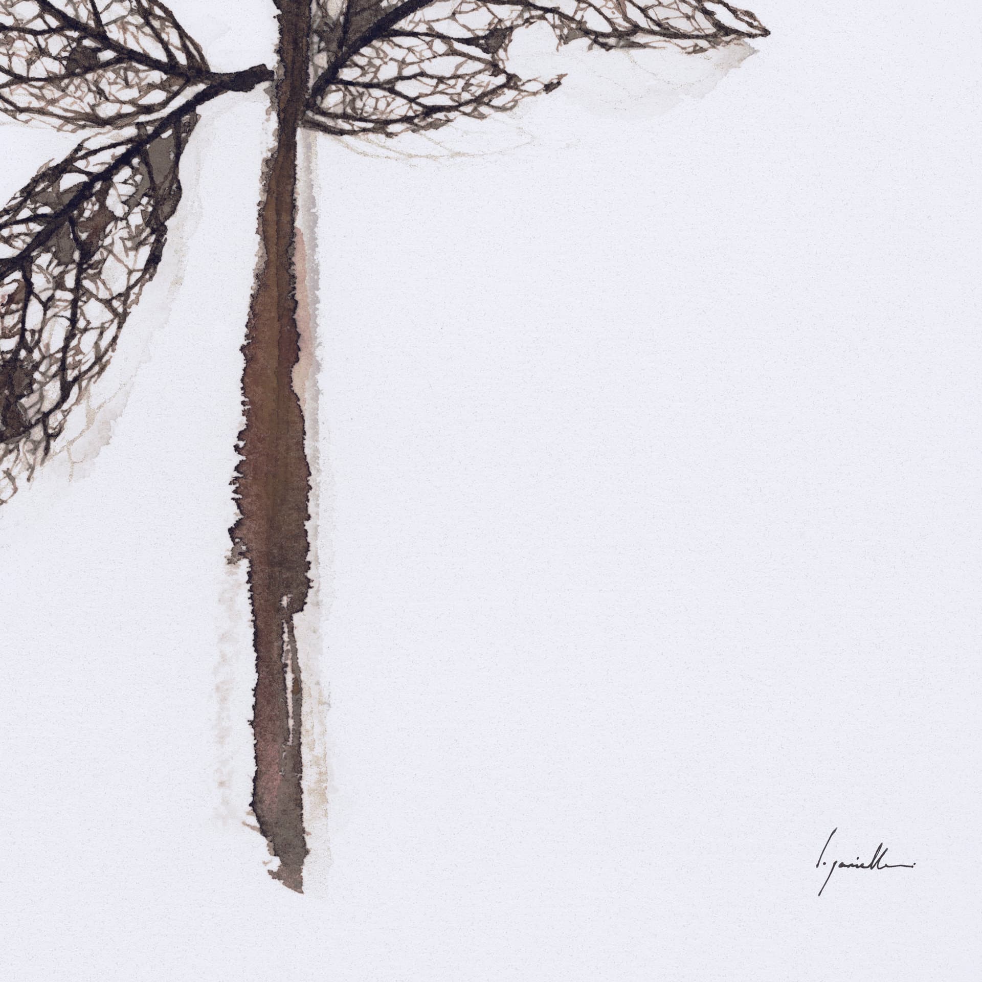 Olive Branch II by Gabrielle a Framed Art Print Matted under Glass — product photograph