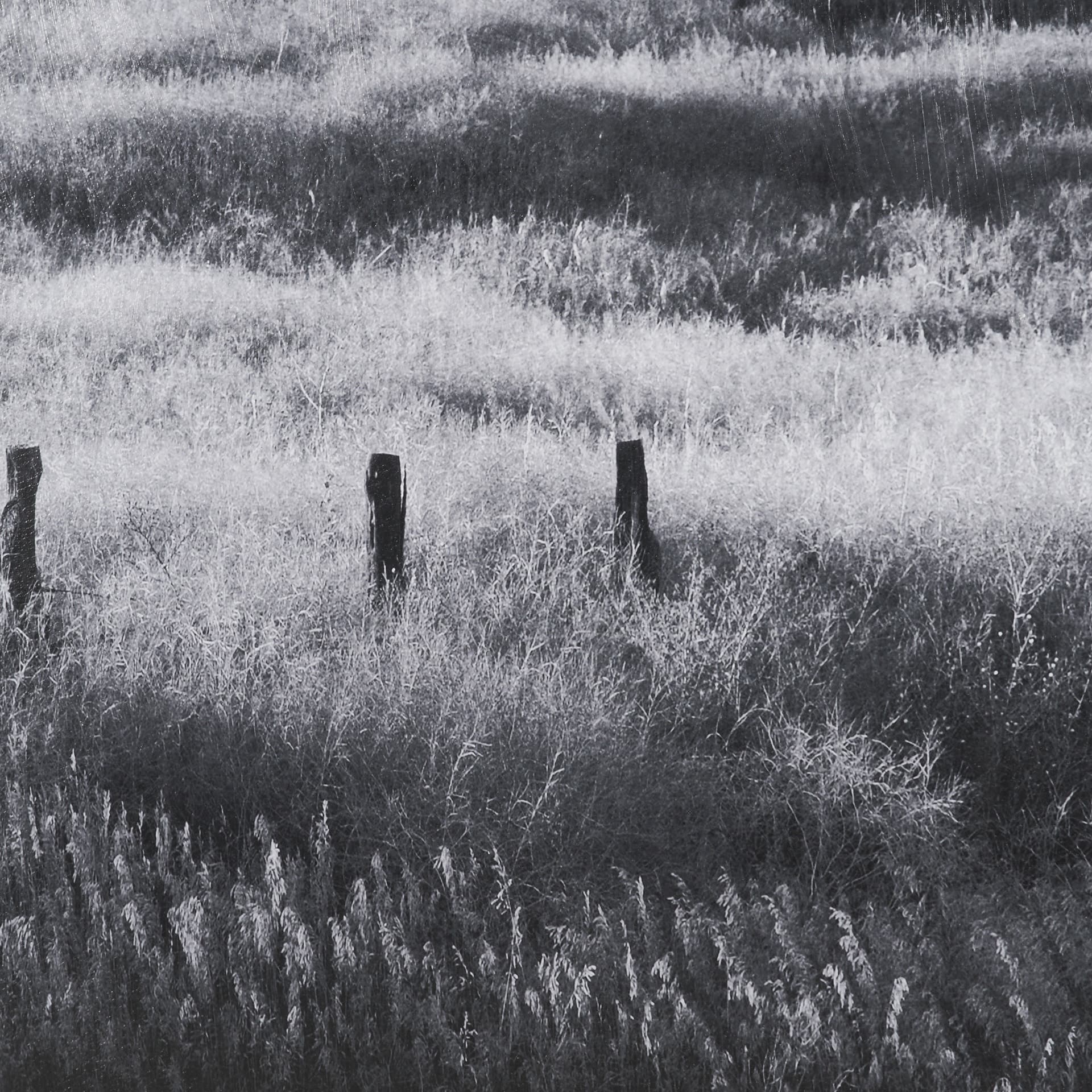 Fence Line Flight I by R. Christopher Vest Textured FramedPhoto Print Matted under Glass — product photograph