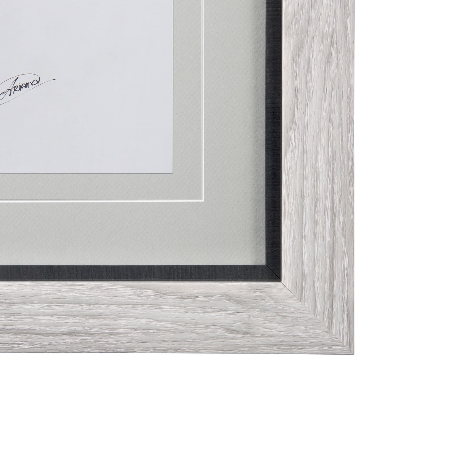 WildBerry Collection Blueberry by Mercana Studio Hand Embellished Framed Art Print Matted under Glas — product photograph
