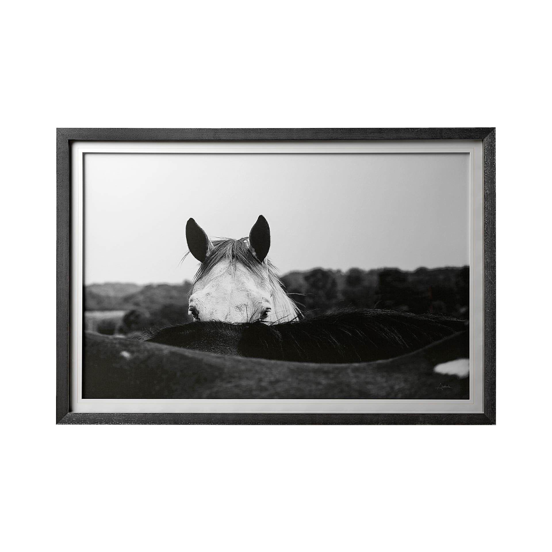 Flirt by Aledanda a Framed Photo Art Print Matted under Glass — product photograph