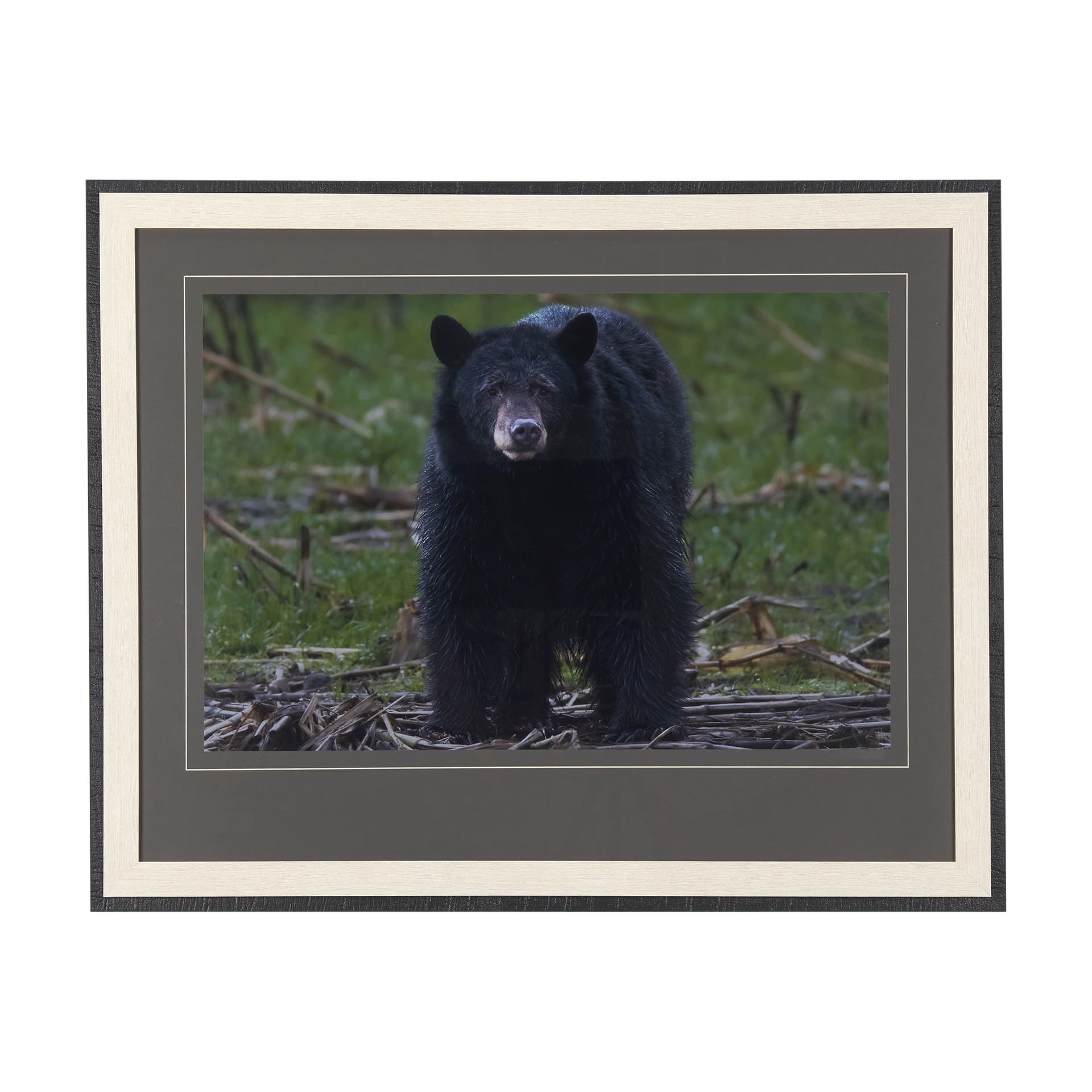 Standing Bear by Chad Mackay a Hand Embellished Textured Framed Photo Art Print Matted under Glass — product photograph