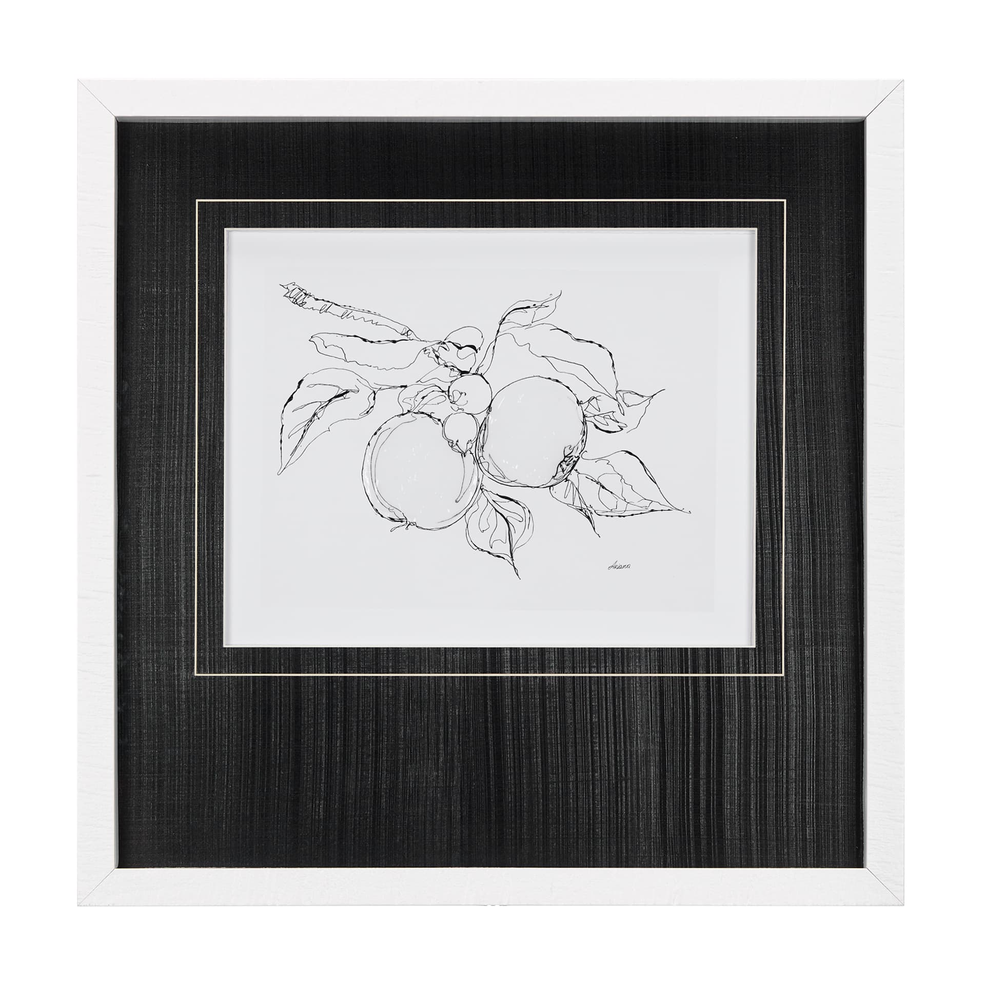 Fruit Sketch Apple by Mercana Studio a Hand Embellished Textured Framed Art Print Matted under Glass — product photograph