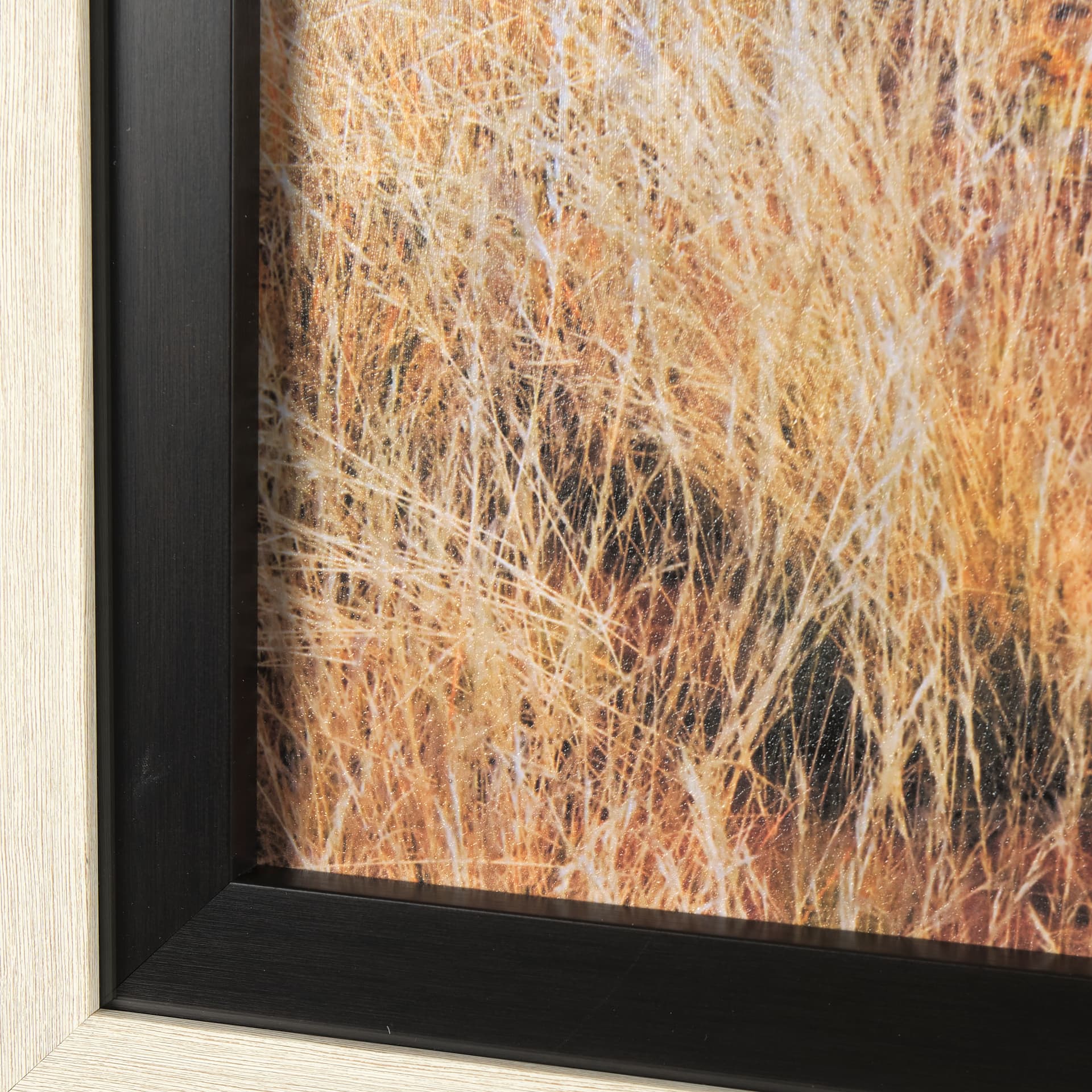 Bold Adventure by Mercana Studio a Hand Embellished Textured Framed Art Photo Matted under Glass — product photograph