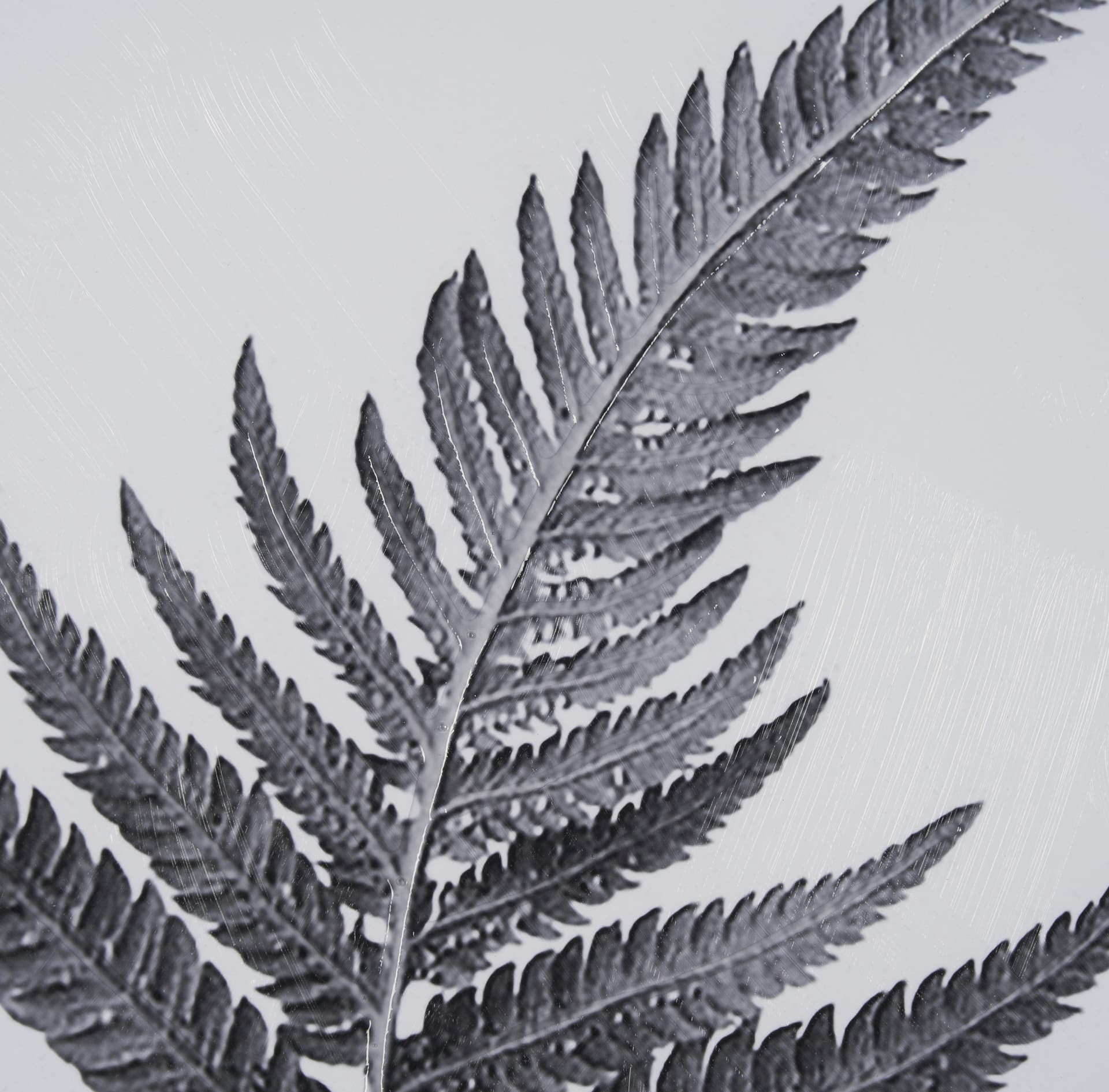 Aspire by Debra Van Swearingen a Hand Embellished Framed Photo Art Print Matted under Glass — product photograph