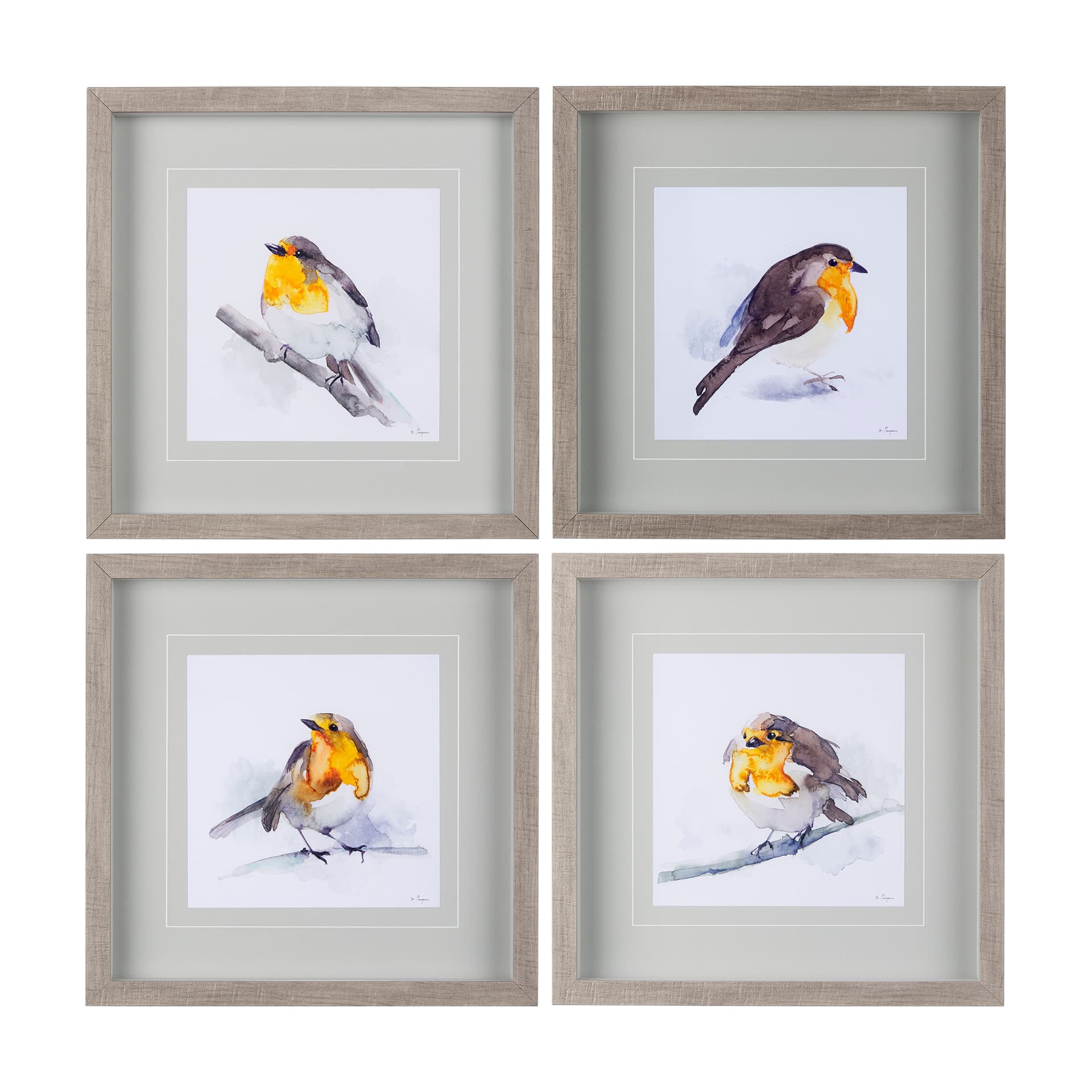 Robin II by Mercana Studio a Hand Embellished Textured Framed Art Print Matted under Glass — product photograph