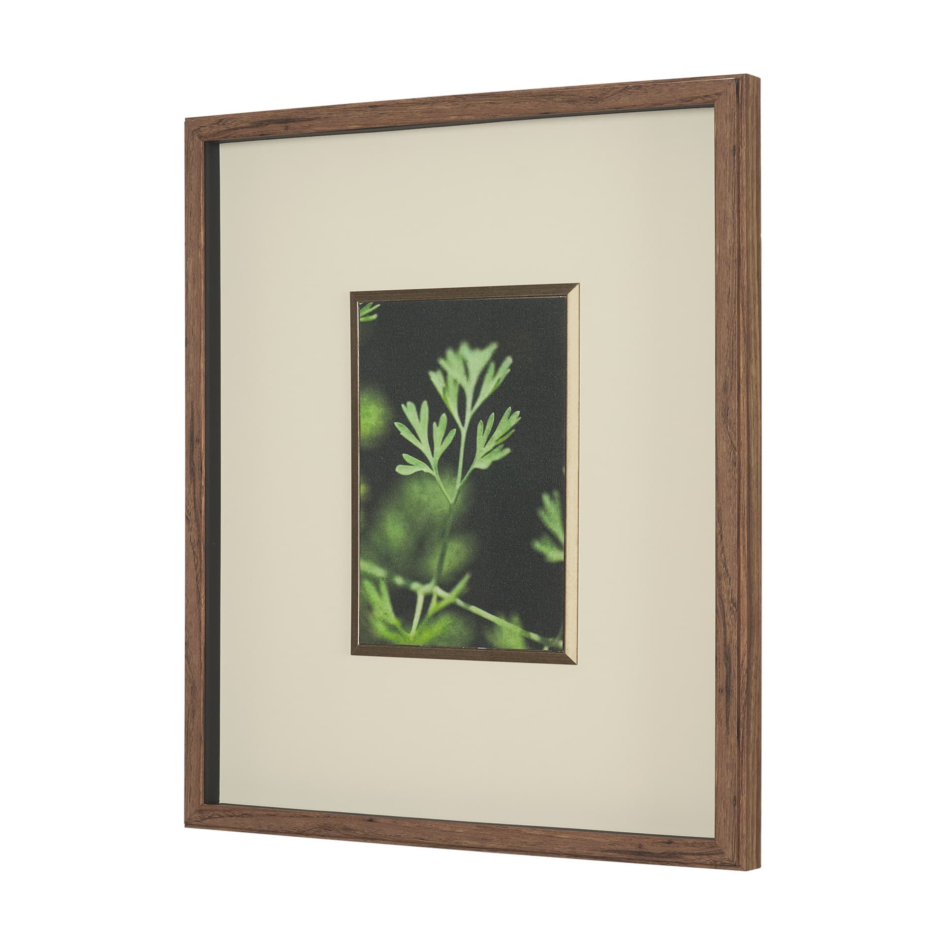 Green Growth by Michael Banks a Hand Embellished Framed Photo Art Print Matted under Glass — product photograph