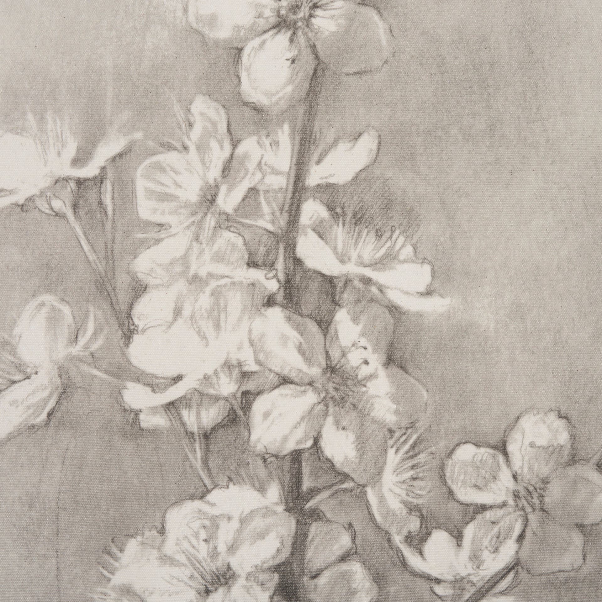 Cherry Blossom Sketch I by Mercana Studio a Hand Embellished Framed Art Print — product photograph