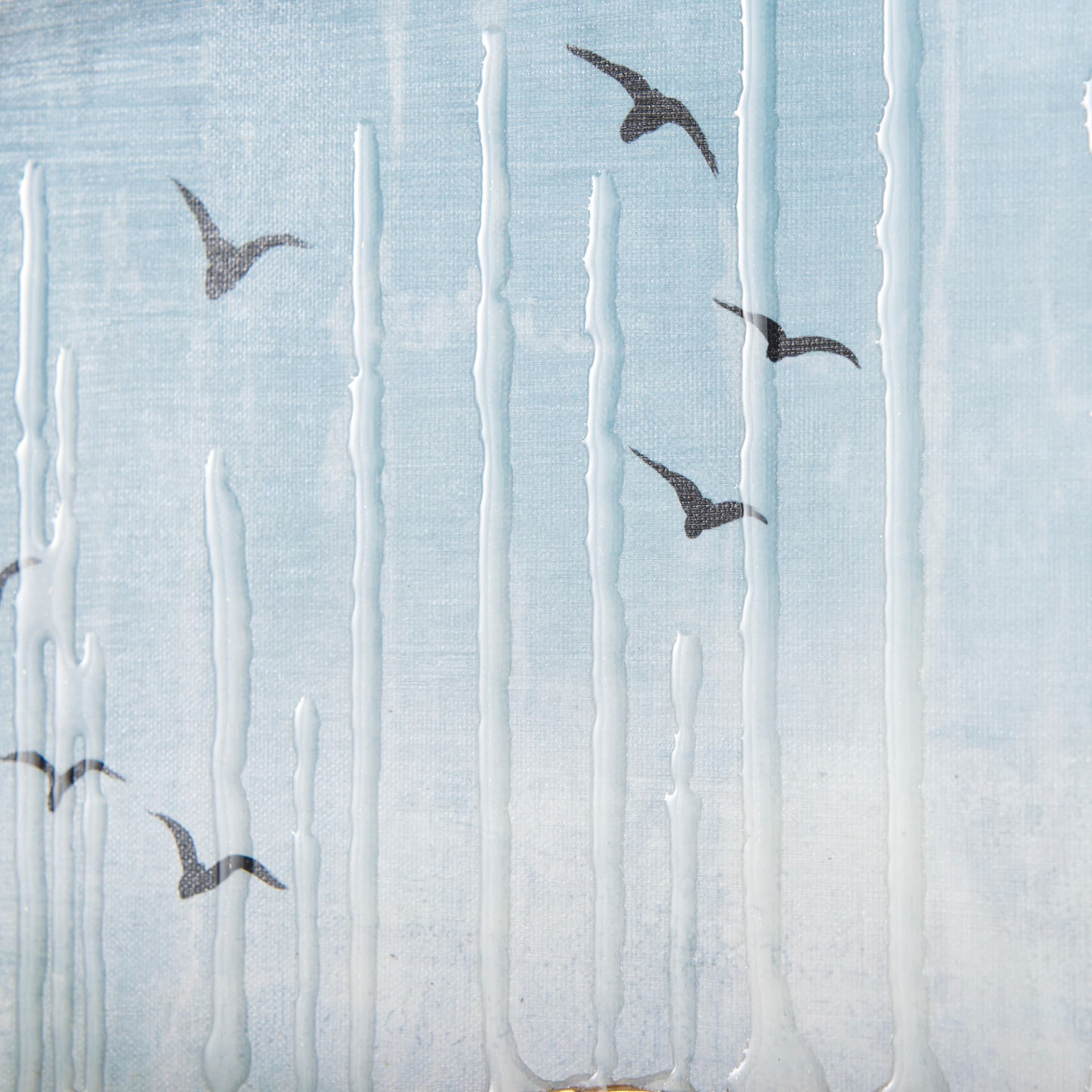 Daily Fly Over by Julie Devine a Canvas Print — product photograph