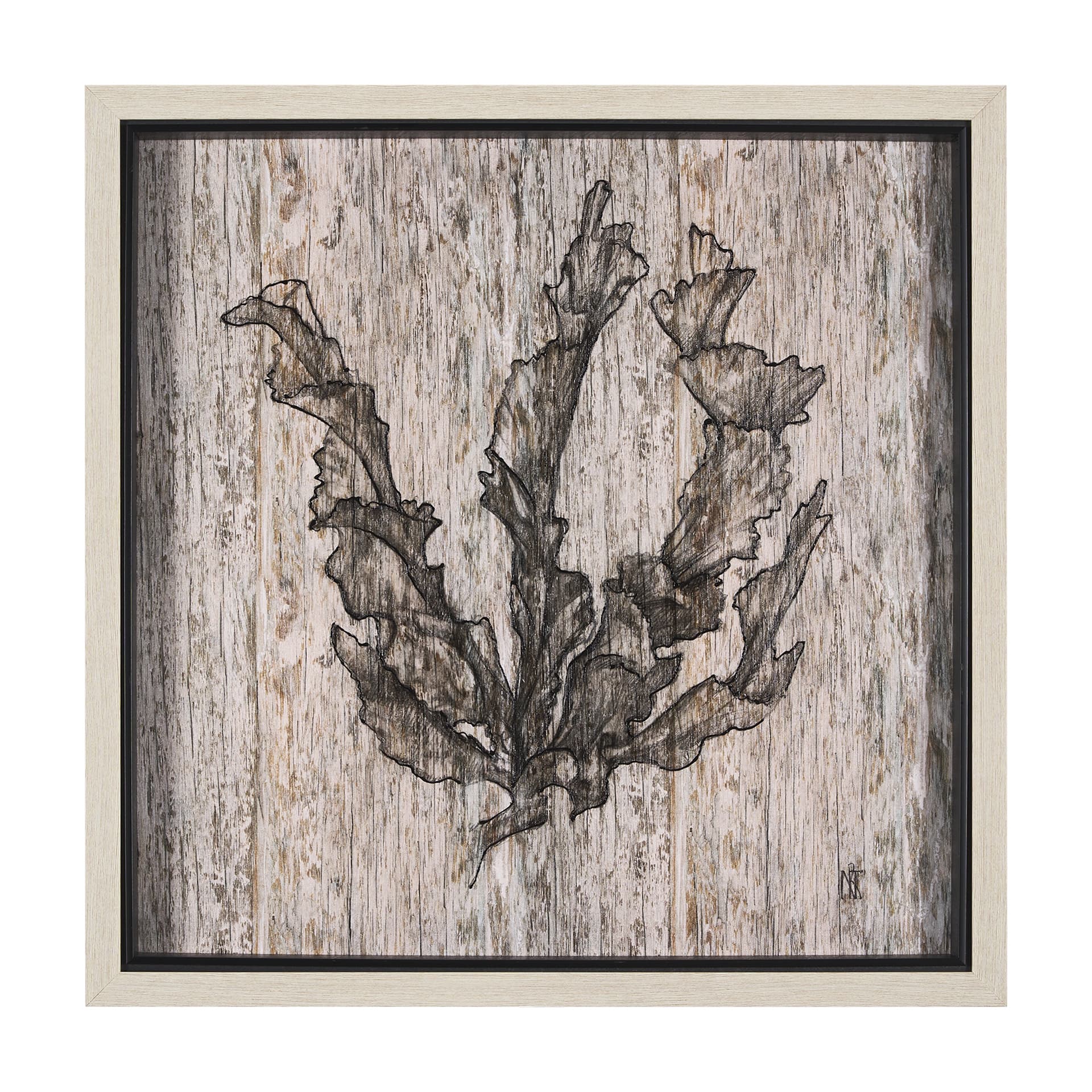 Wood Grain Sea Plant I by Mercana Studio a Hand Embellished Textured Framed Art Print — product photograph