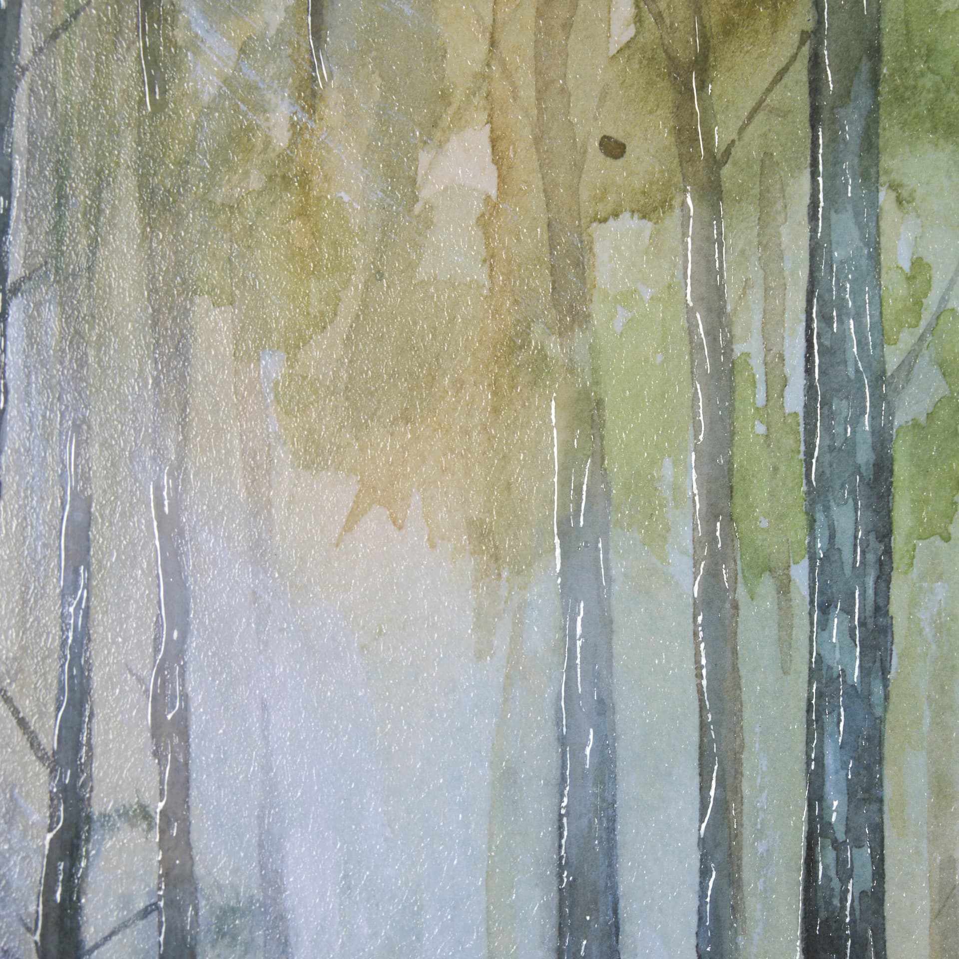 Spring Light I by Mercana Studio a Hand Embelished Textured Framed Art Print Matted under Glass — product photograph